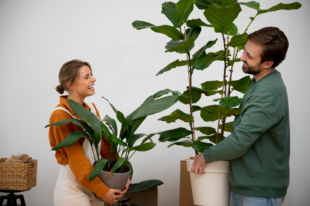 Decoración Eco-Friendly: Cómo las Plantas Artificiales Sostenibles Ayudan al Medio Ambiente