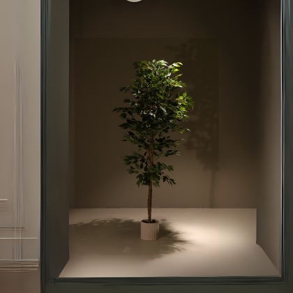 ficus-ignífugo-180cm