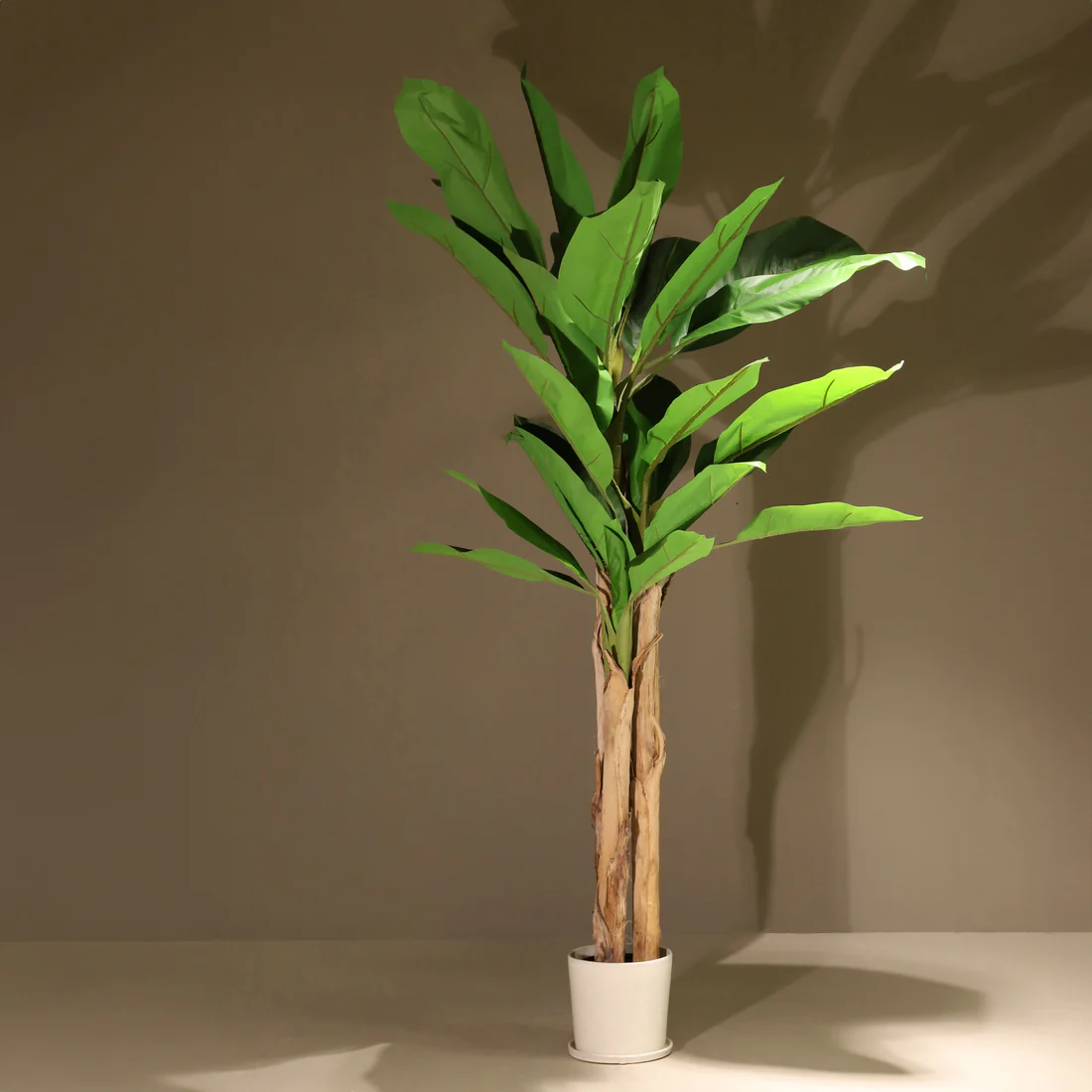 Top 3 Plantas Artificiales Ignífugas para Interiores Modernos