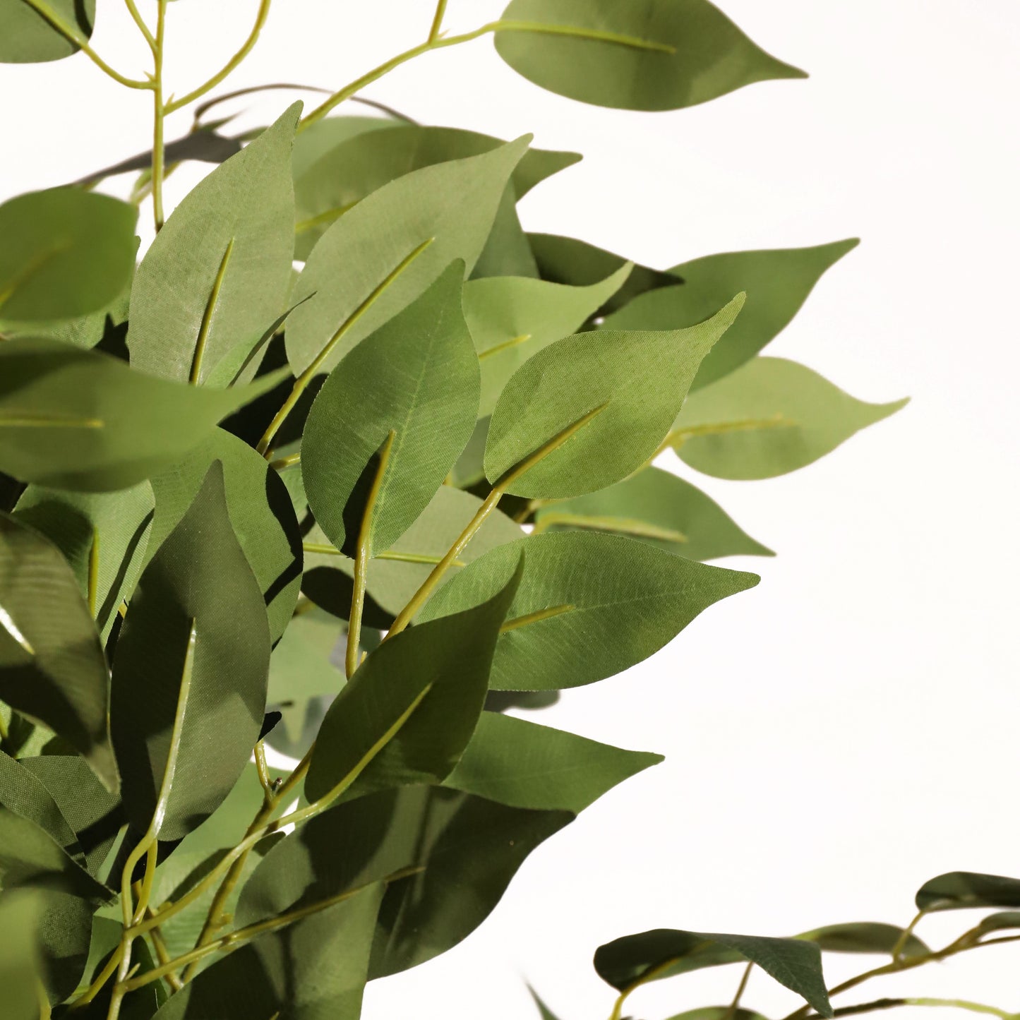 Ficus ignífugo 180 cm