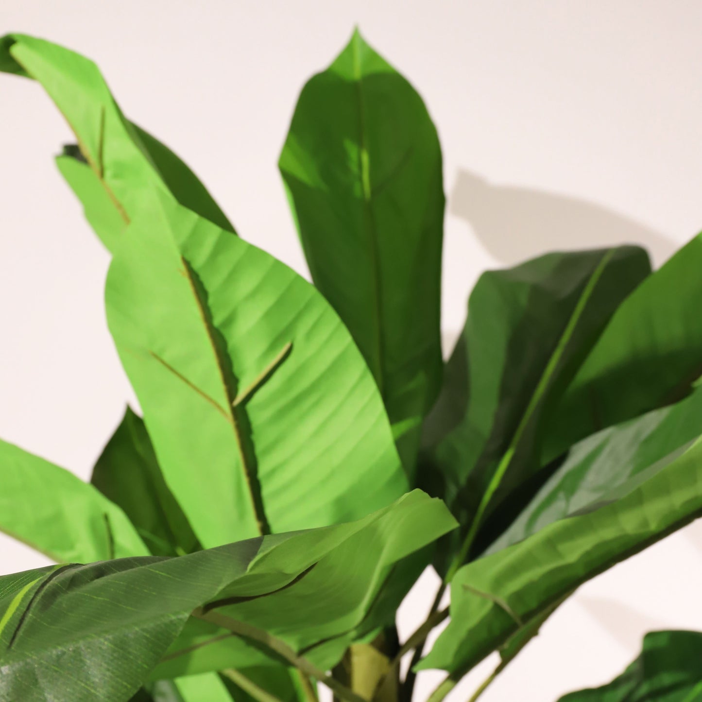 Bananera ignífuga 220 cm