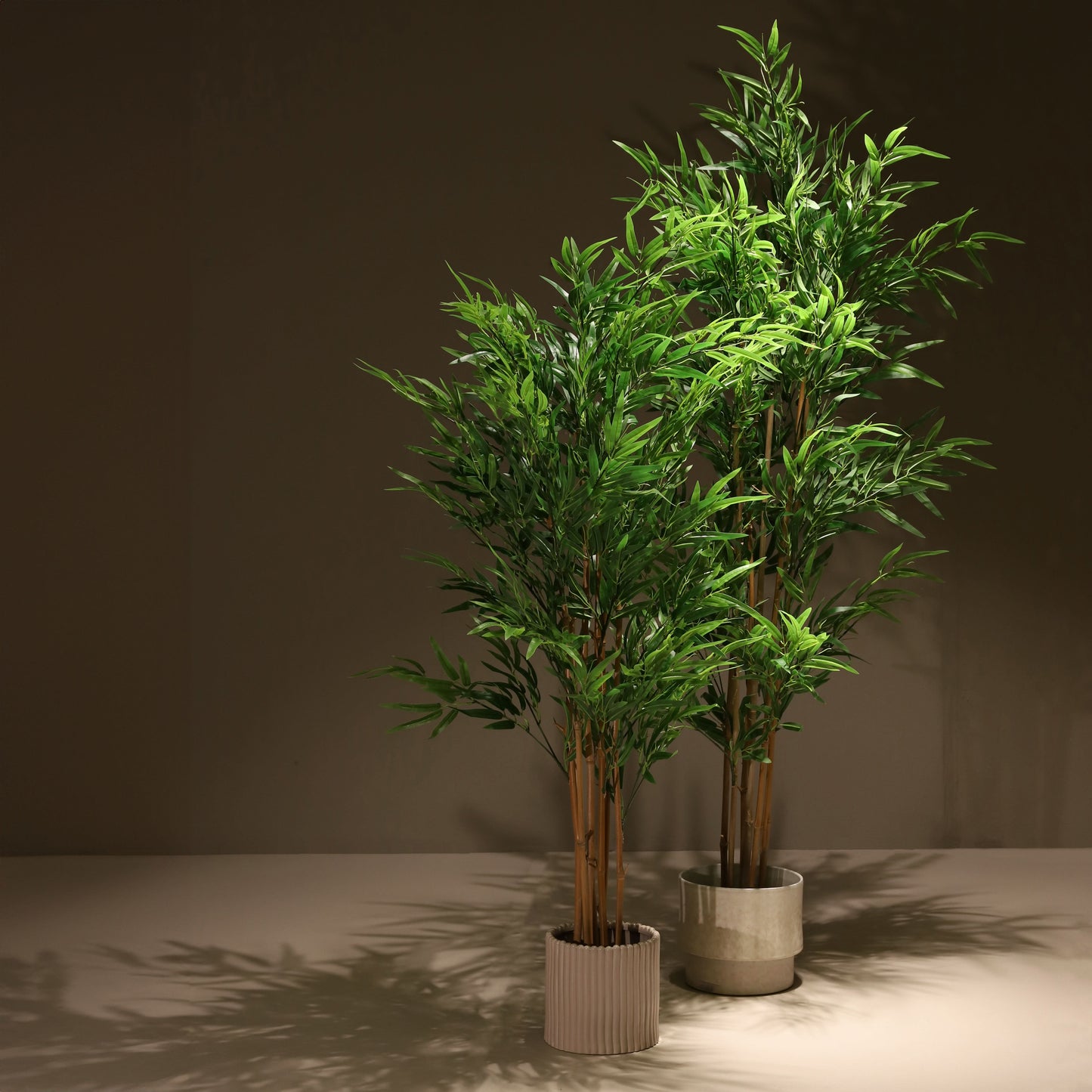 Bambou vert 180 cm