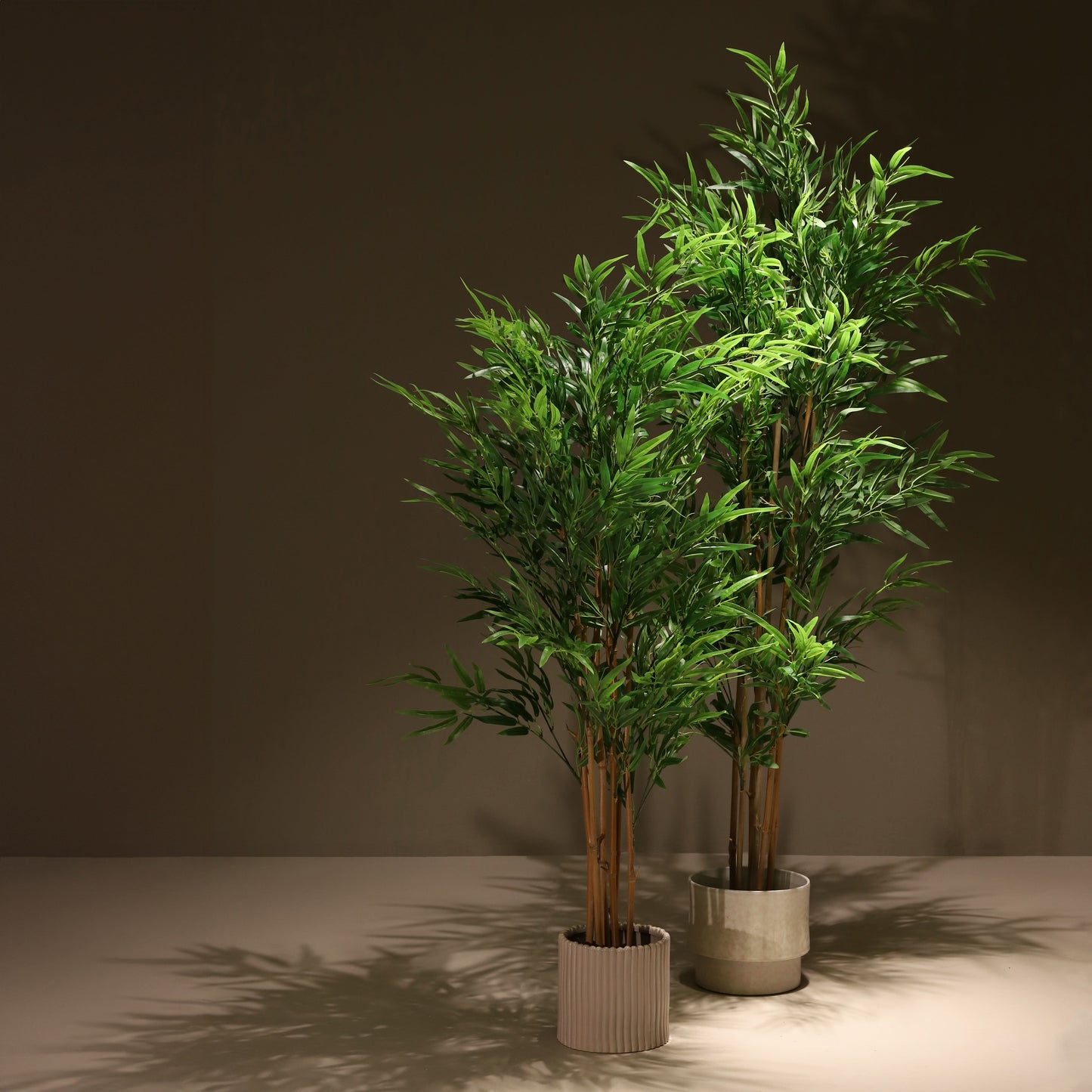Bambú verde 150 cm