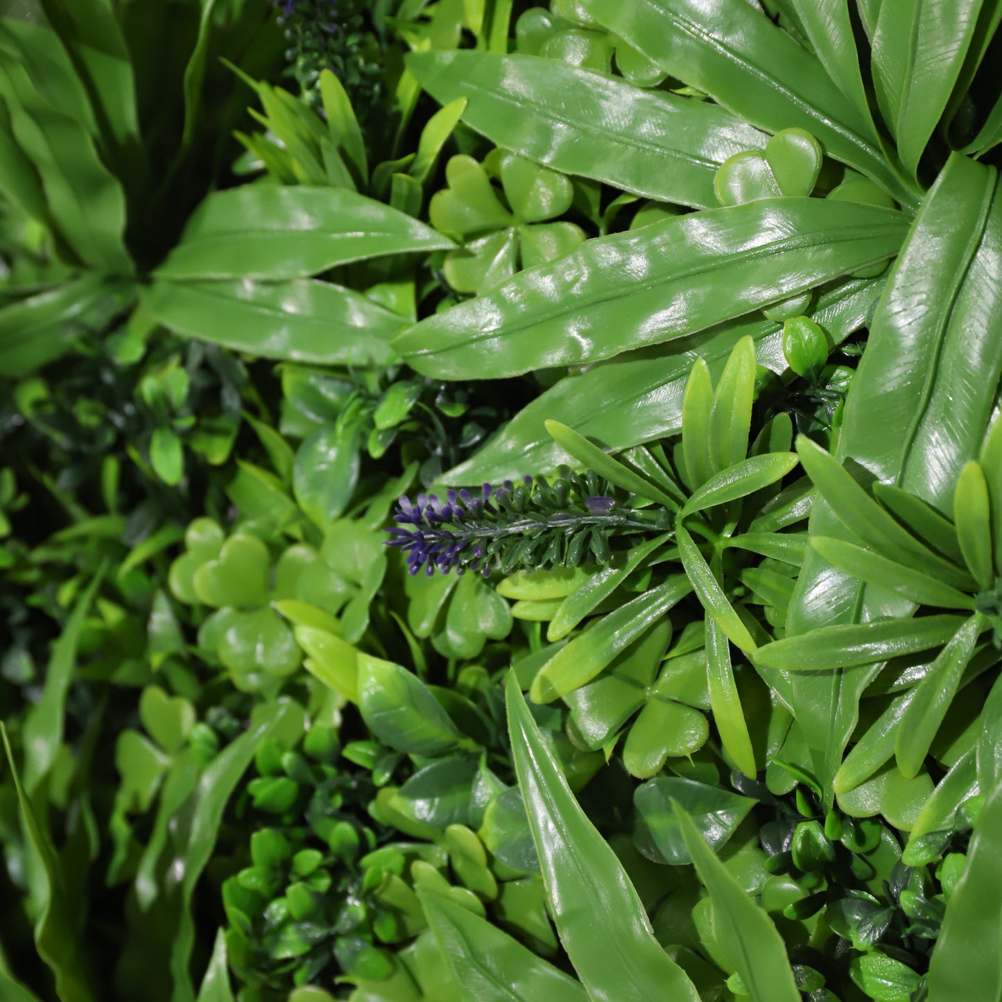 Selva