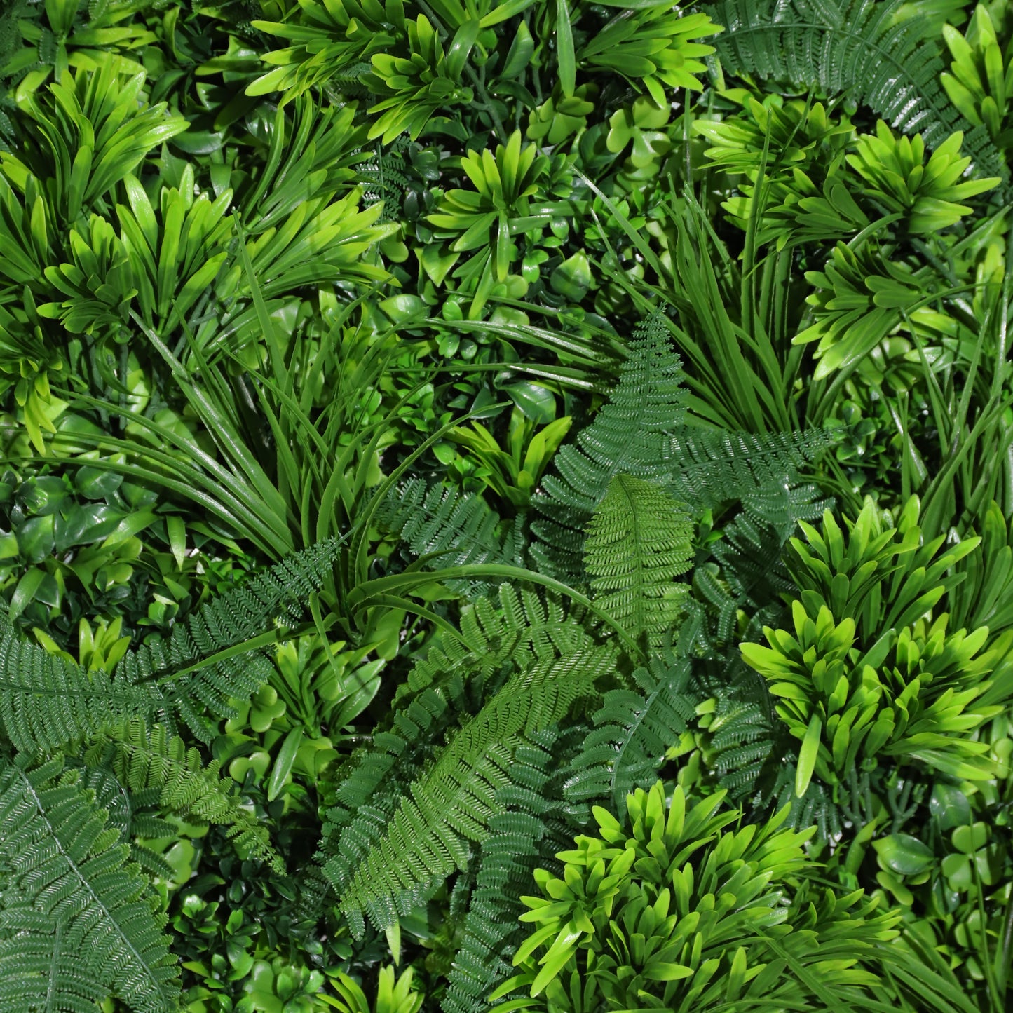 Cielo verde
