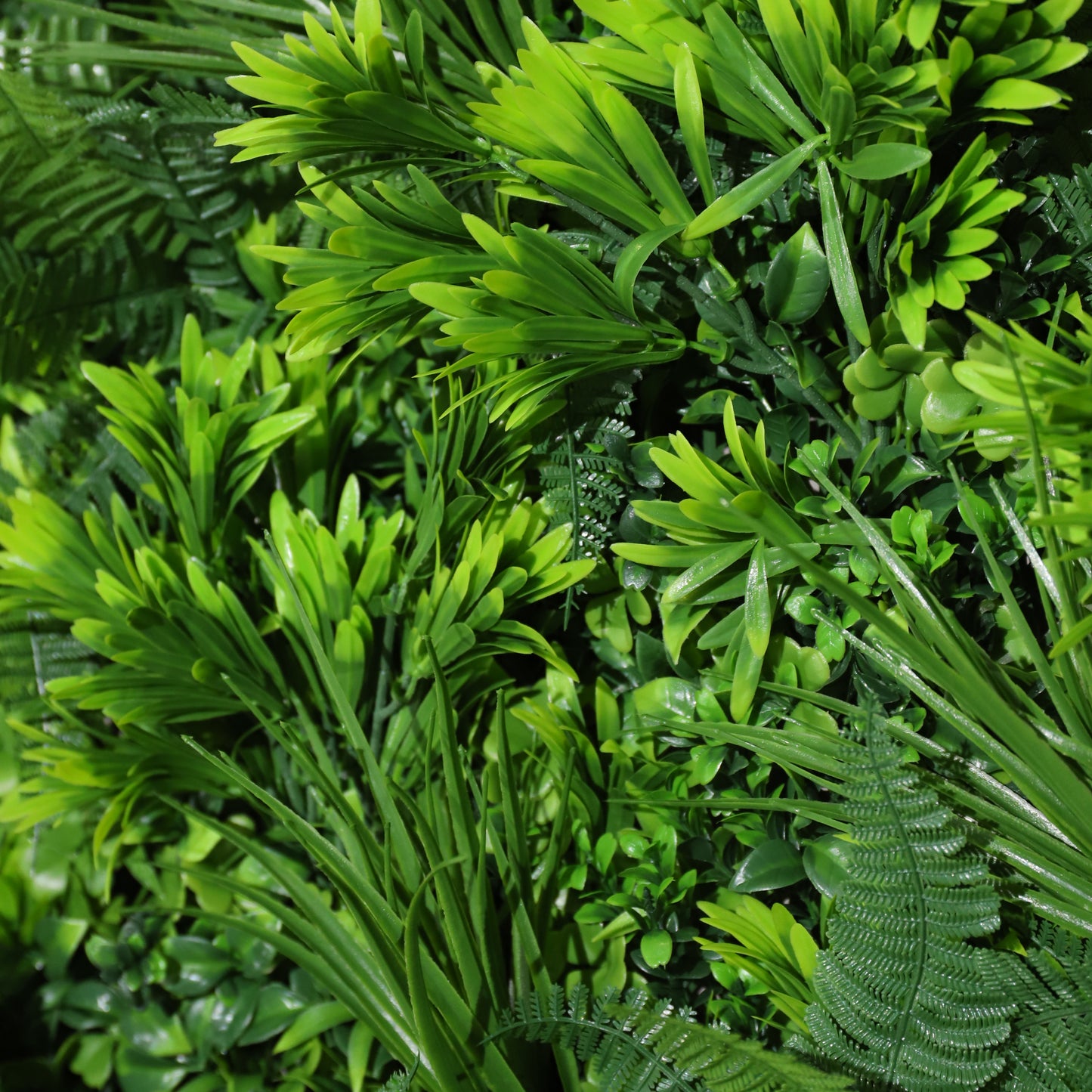 Cielo verde
