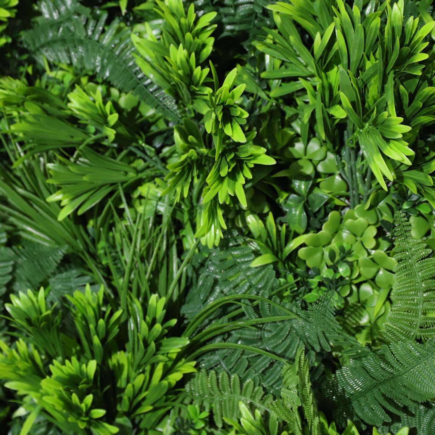 Cielo verde