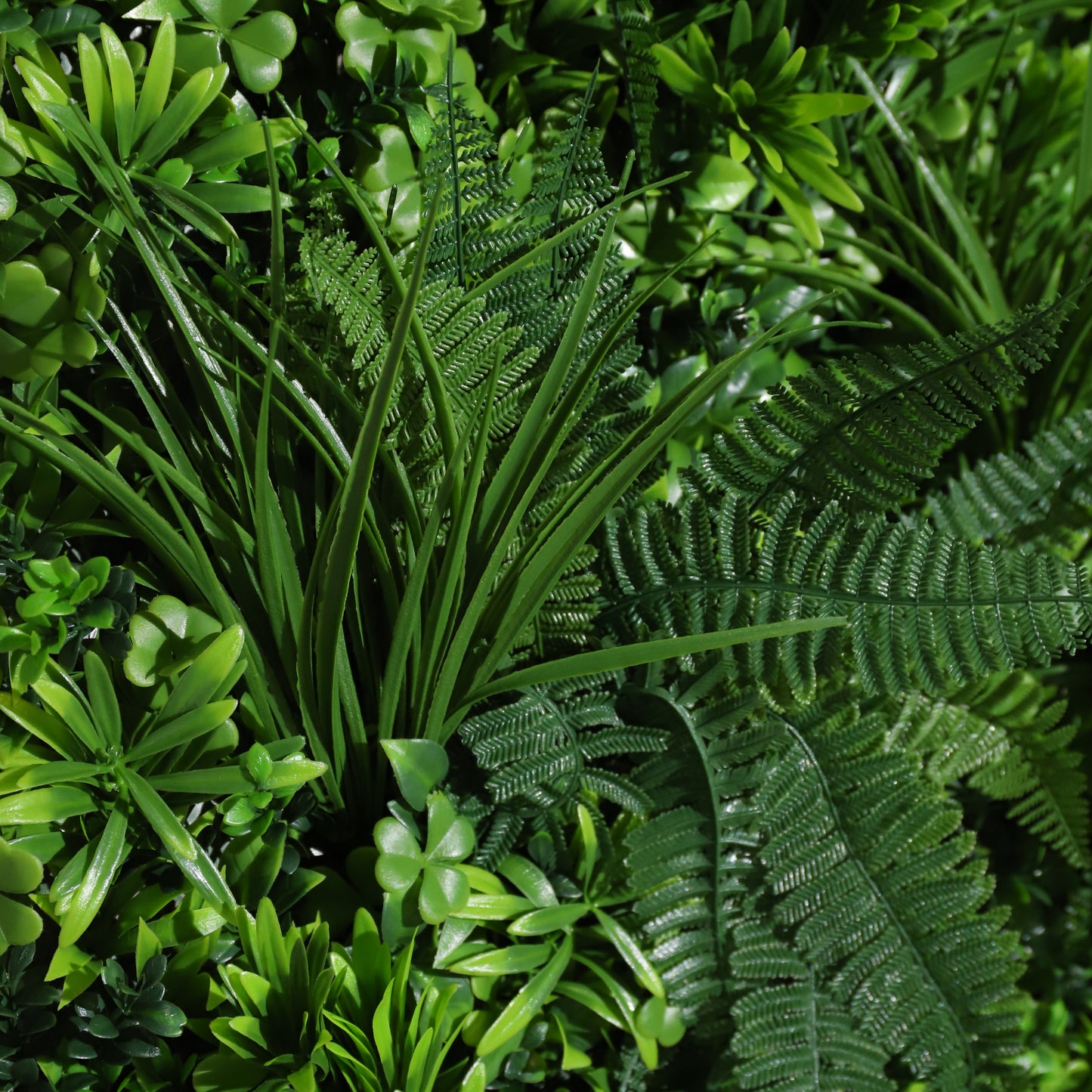 Cielo verde