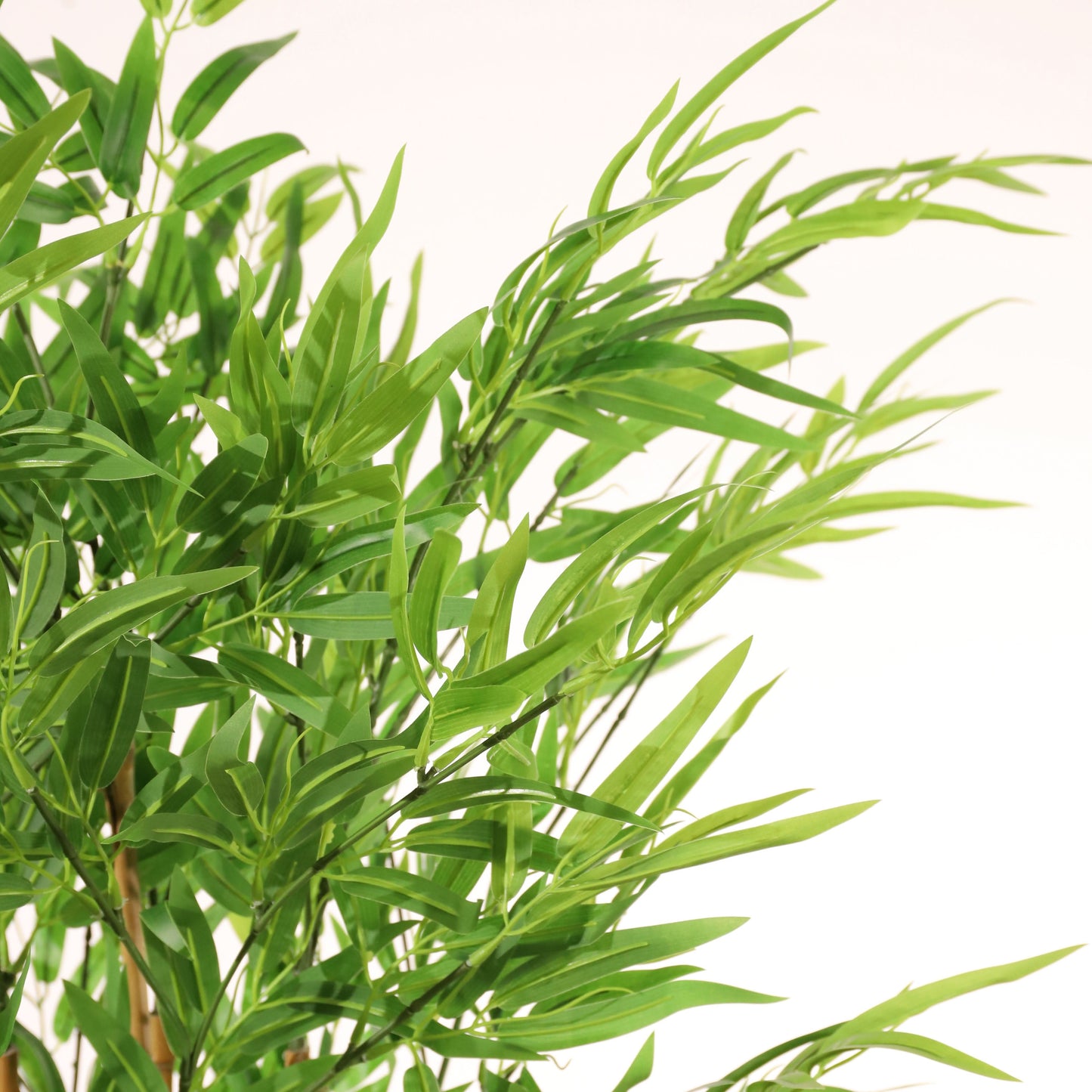 Bambú verde 150 cm