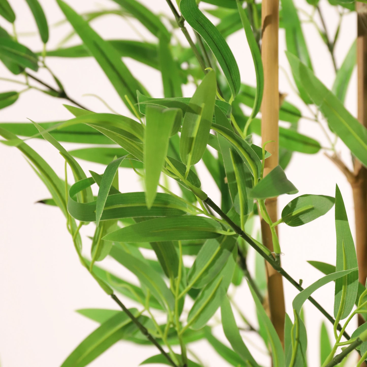 Bambou vert 180 cm