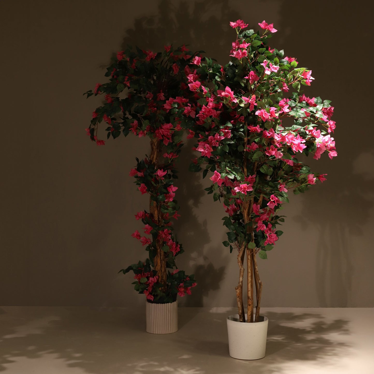 Árbol buganvilla 180 cm