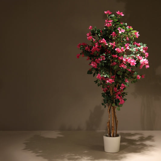 Árbol buganvilla 180 cm