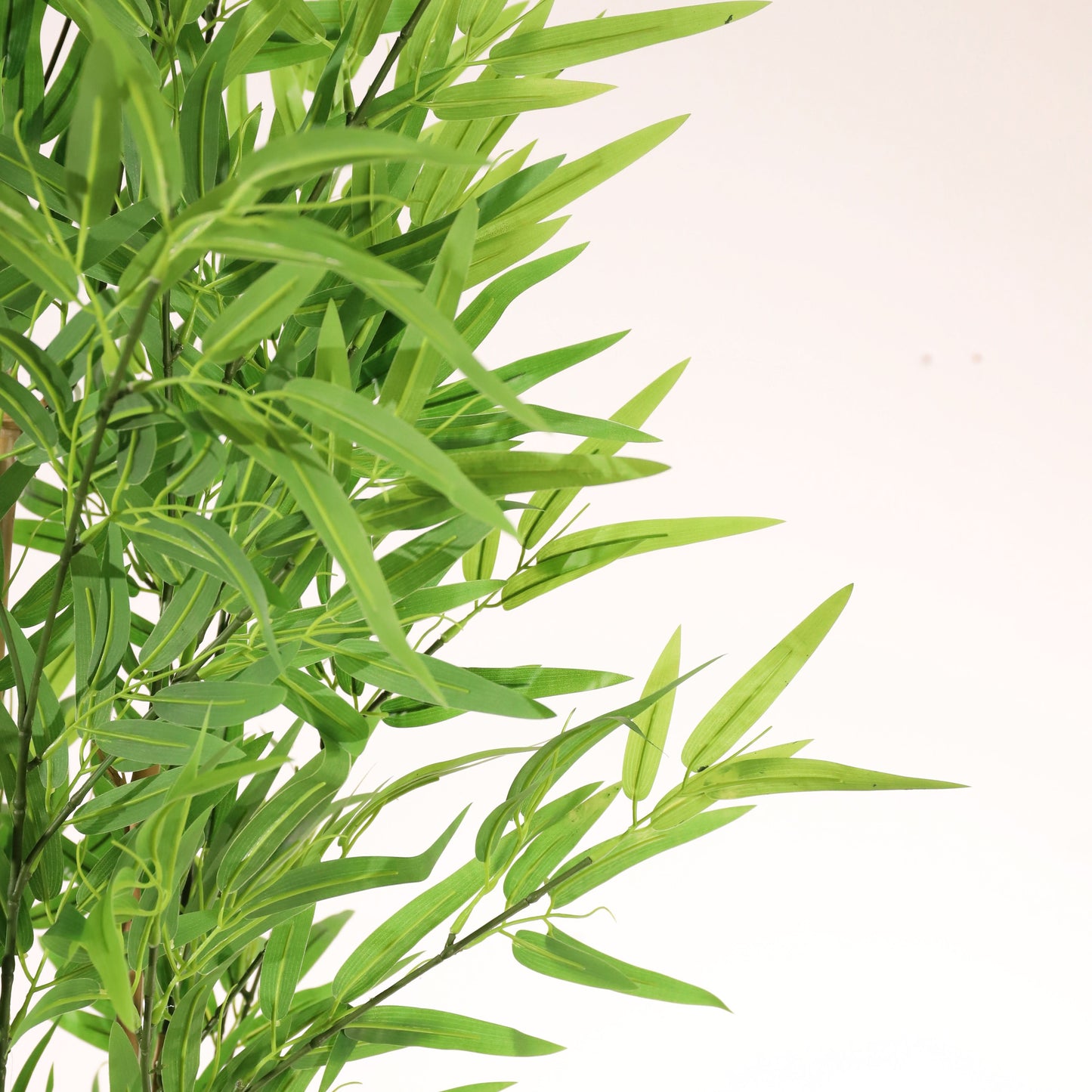 Bambou vert 180 cm