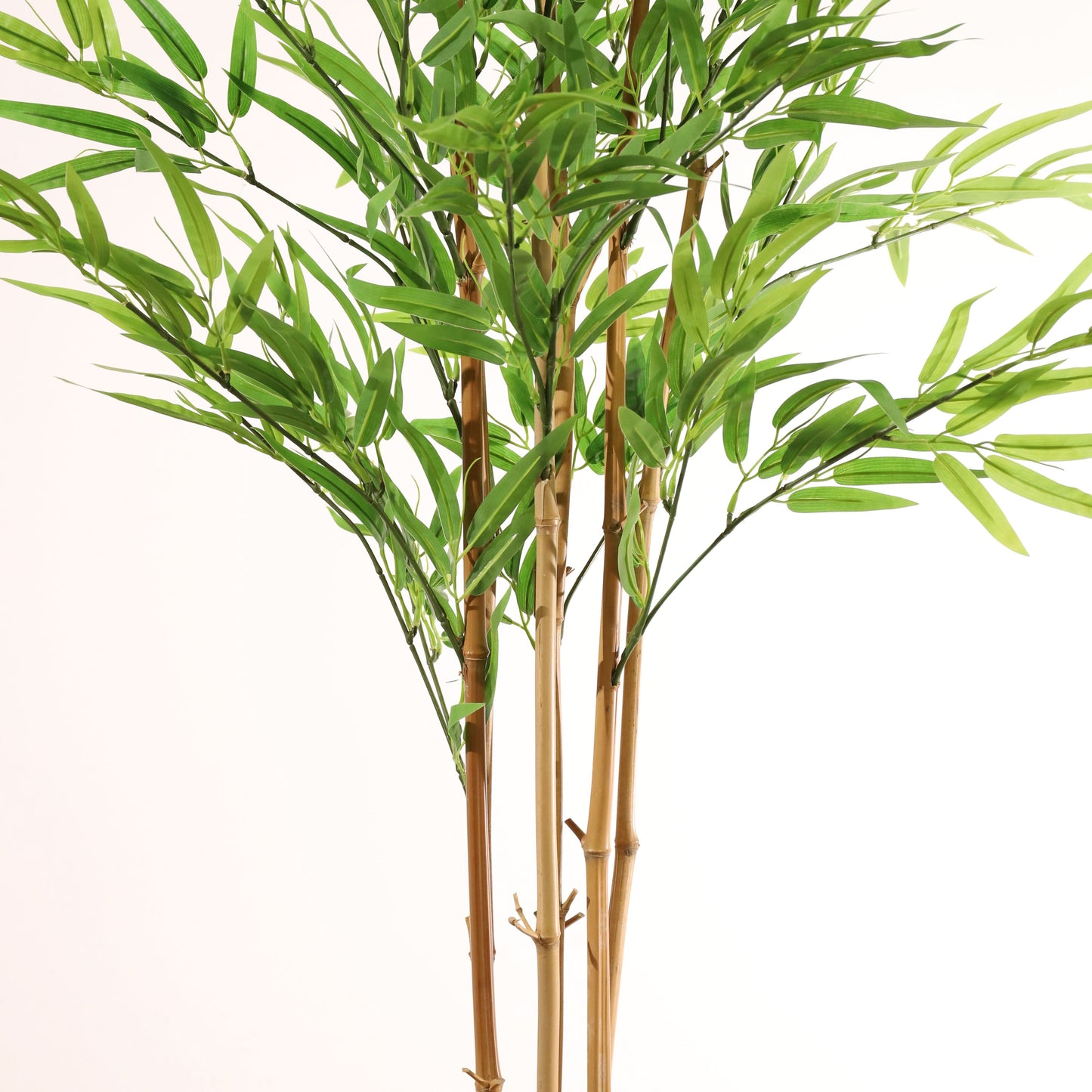 Bambú verde 150 cm