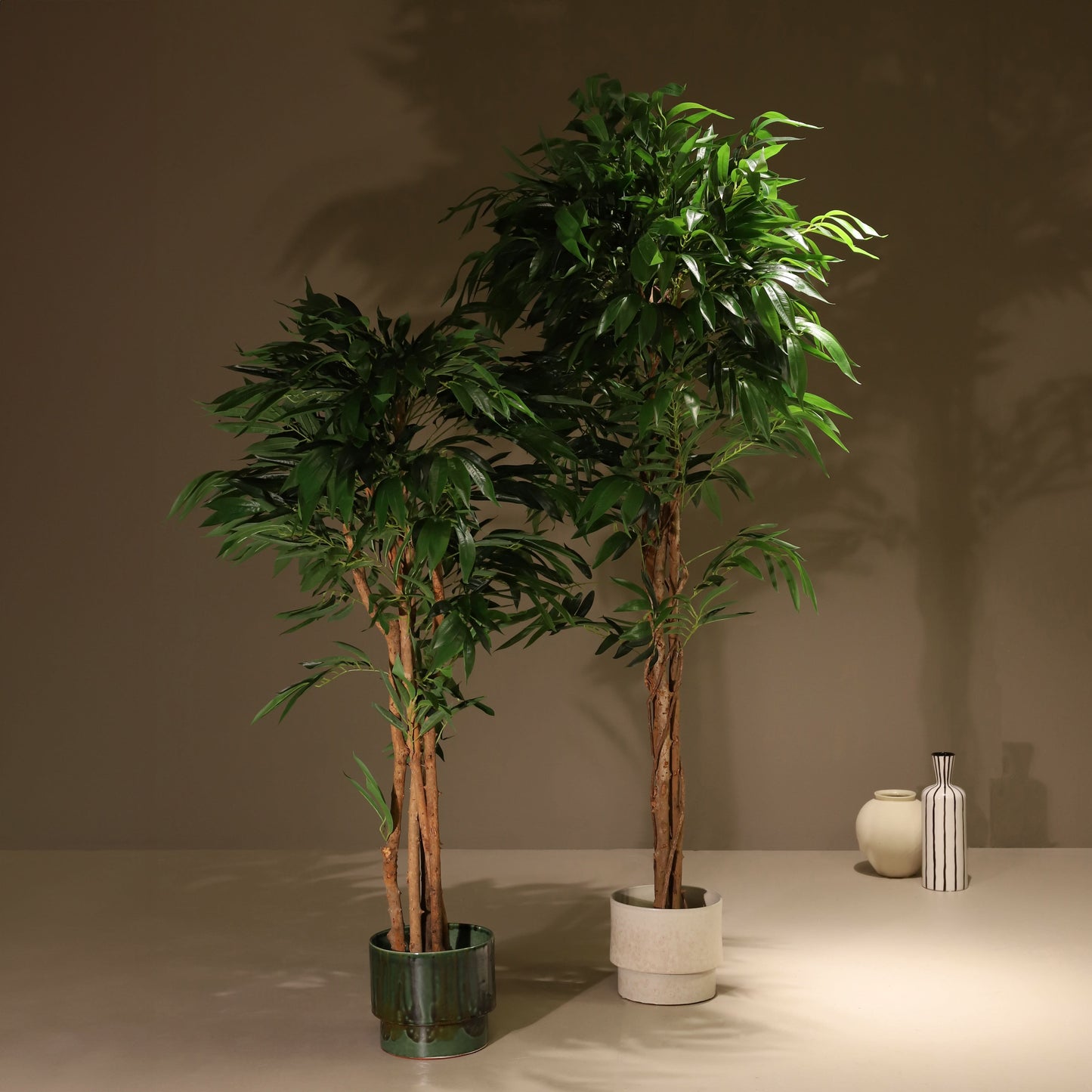 Árbol drácena 153 cm