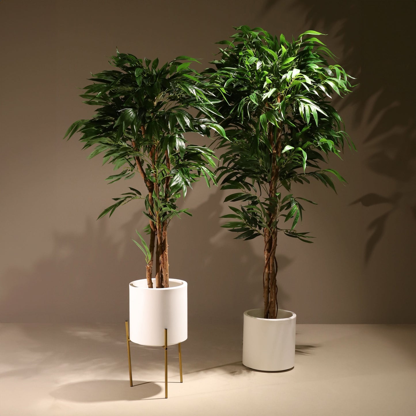 Árbol drácena 183 cm