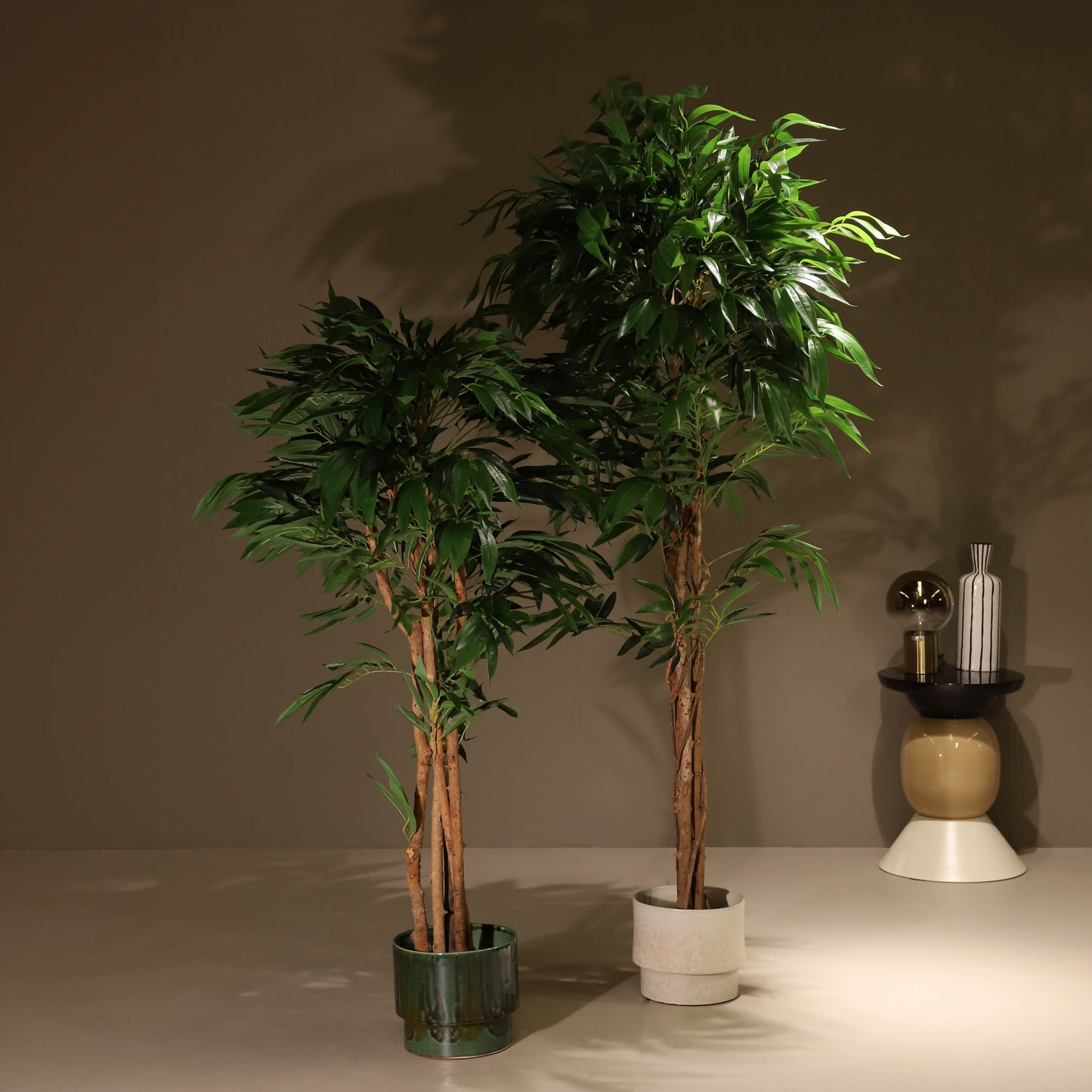 Árbol drácena 153 cm