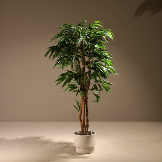 Árbol drácena 153 cm