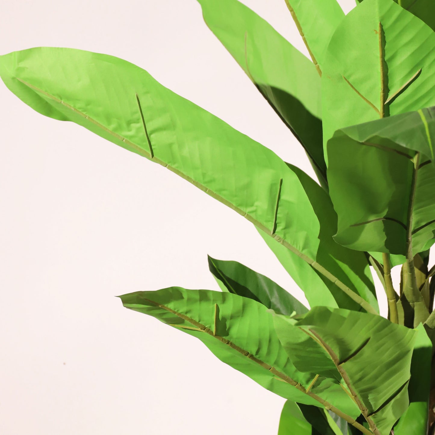 Bananera ignífuga 220 cm