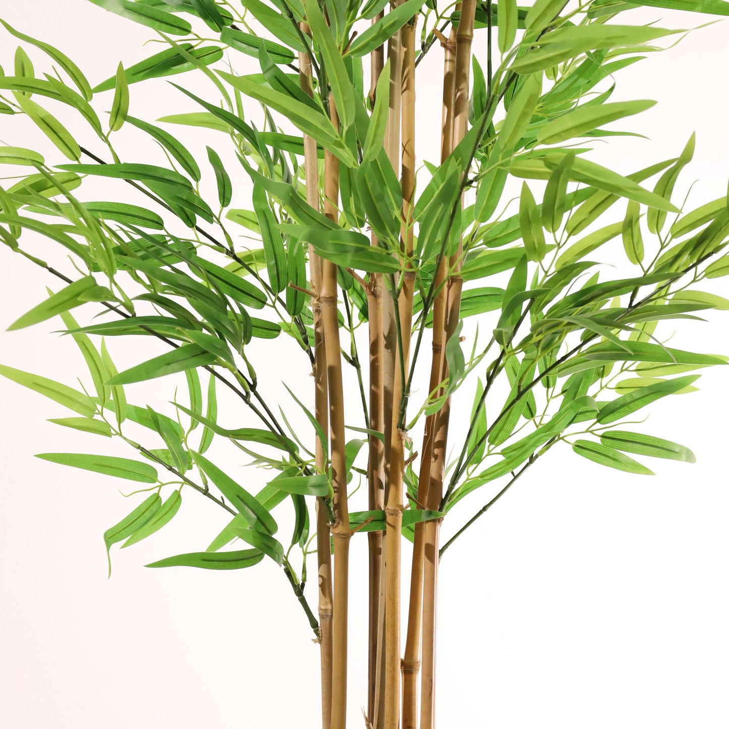 Bambou vert 180 cm