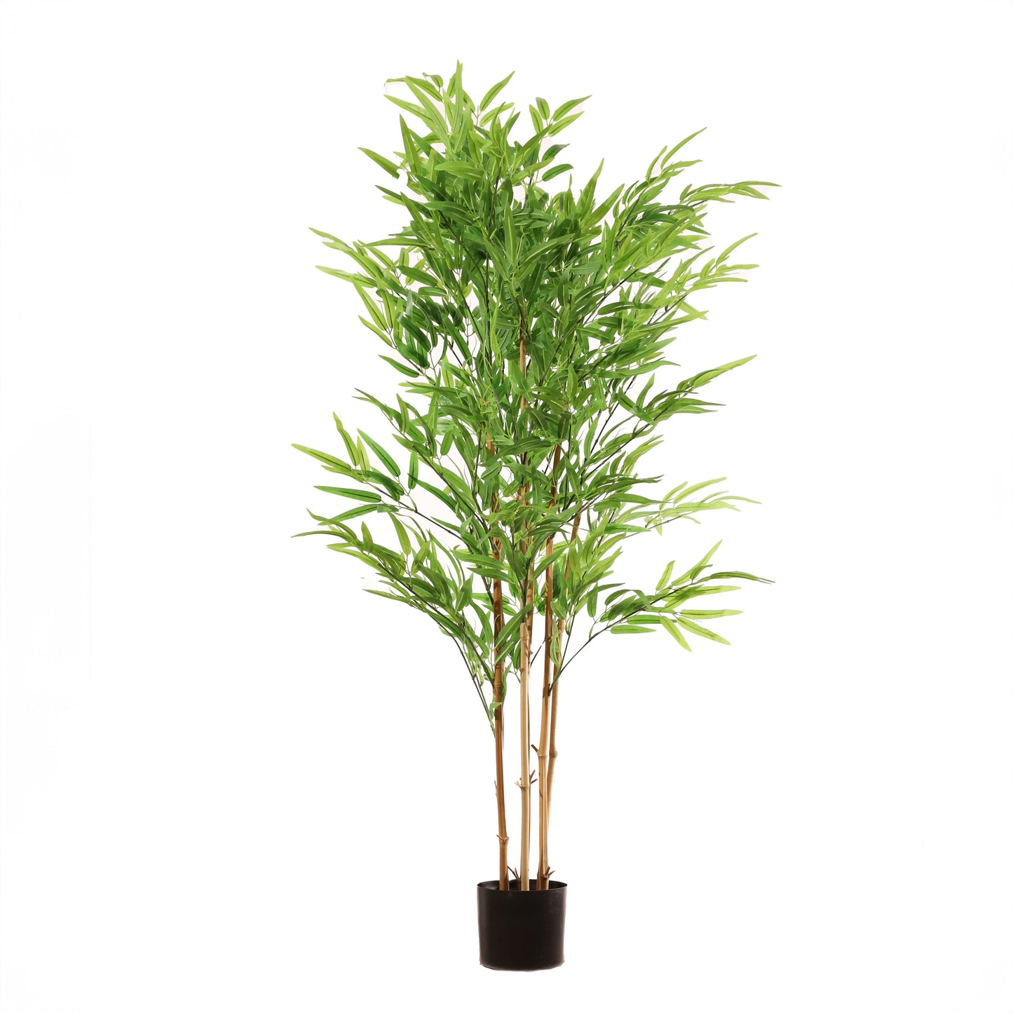 Bambou vert 180 cm