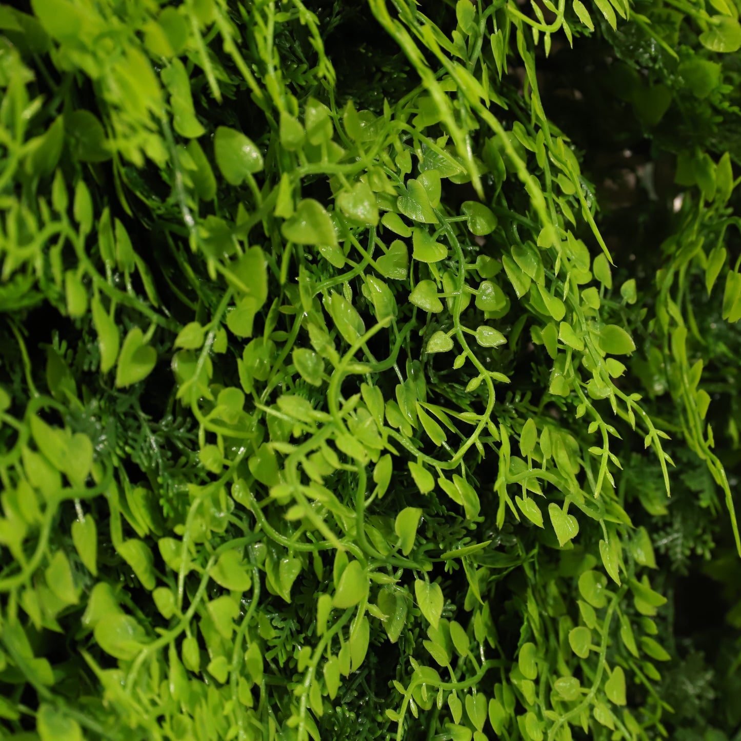 Helecho deluxe ignífugo