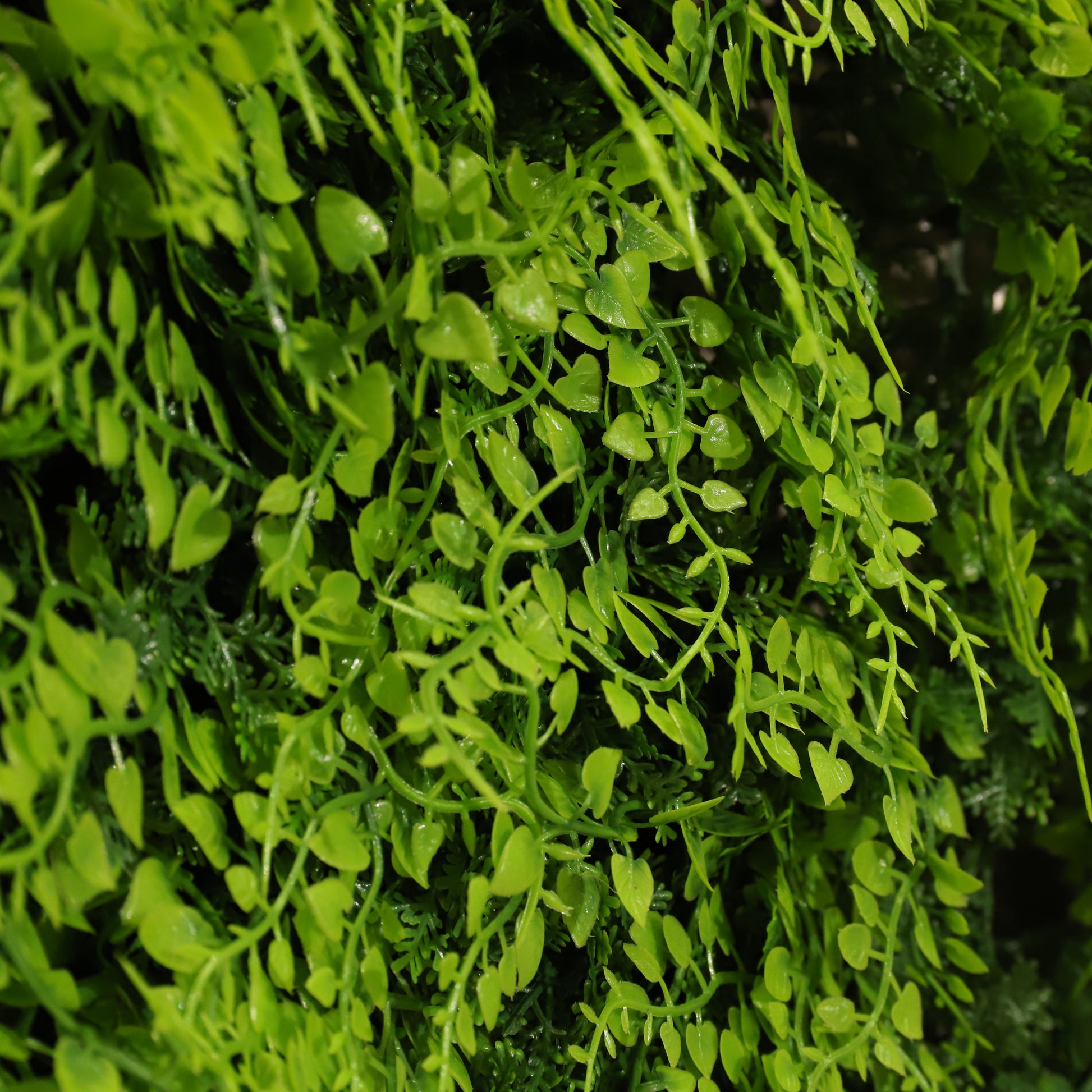 Helecho deluxe ignífugo