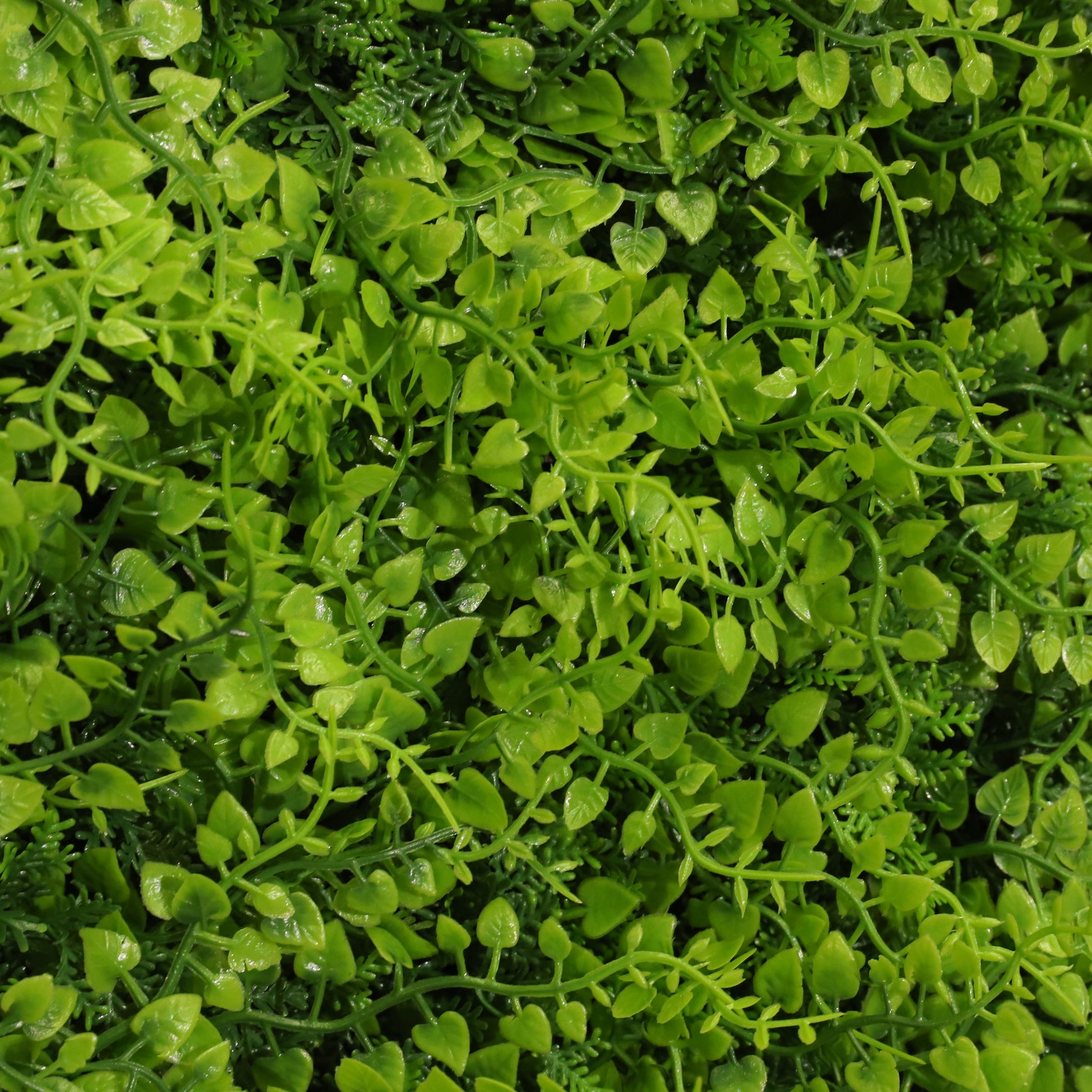 Helecho deluxe ignífugo