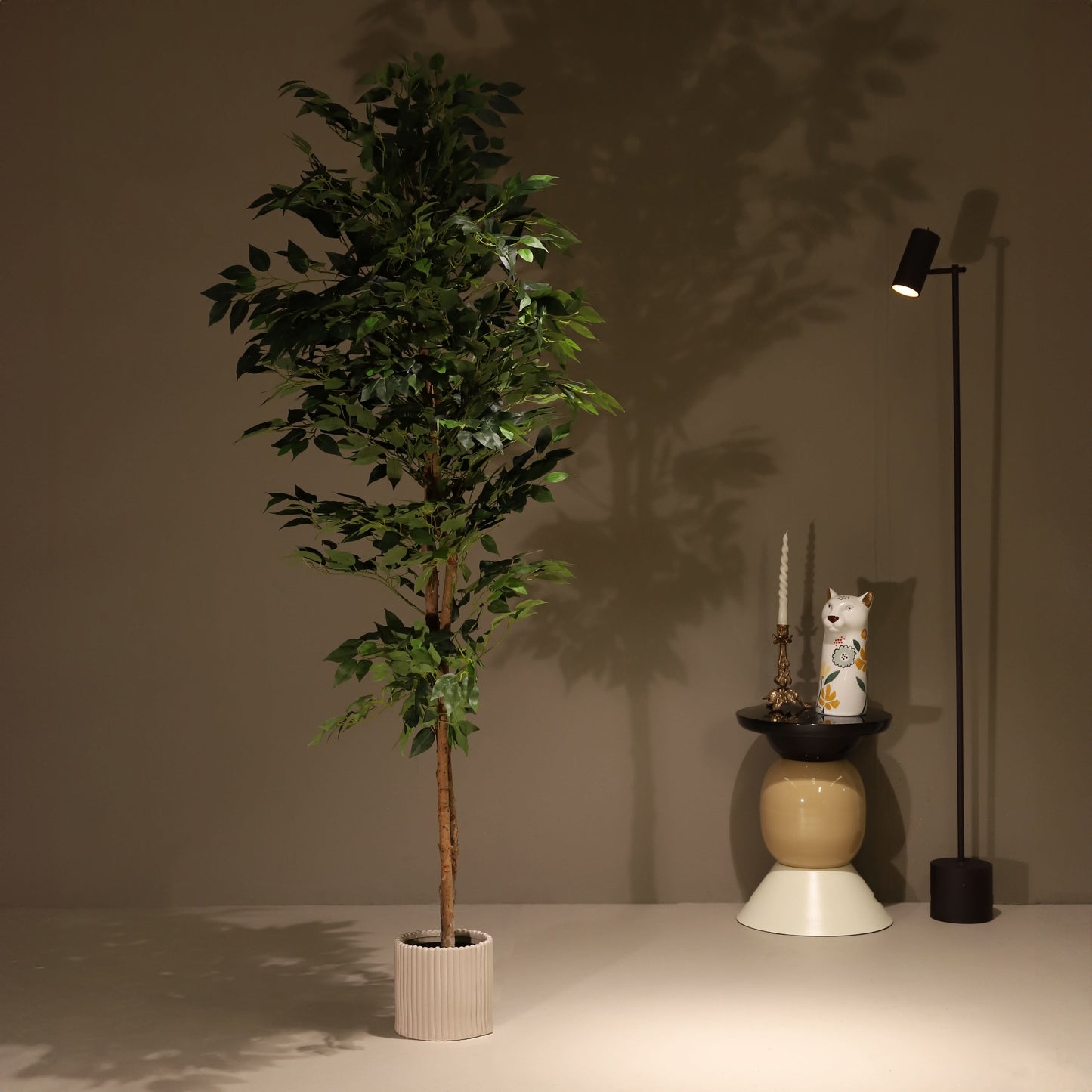 Ficus benjamina 180 cm