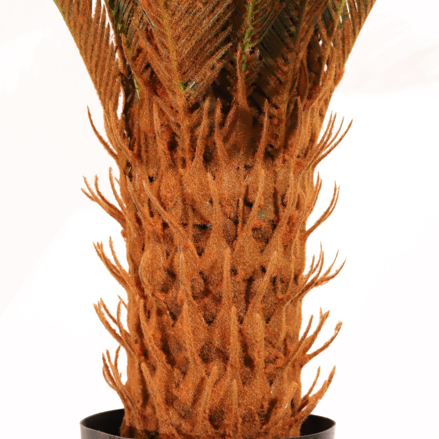 Cyca 105 cm