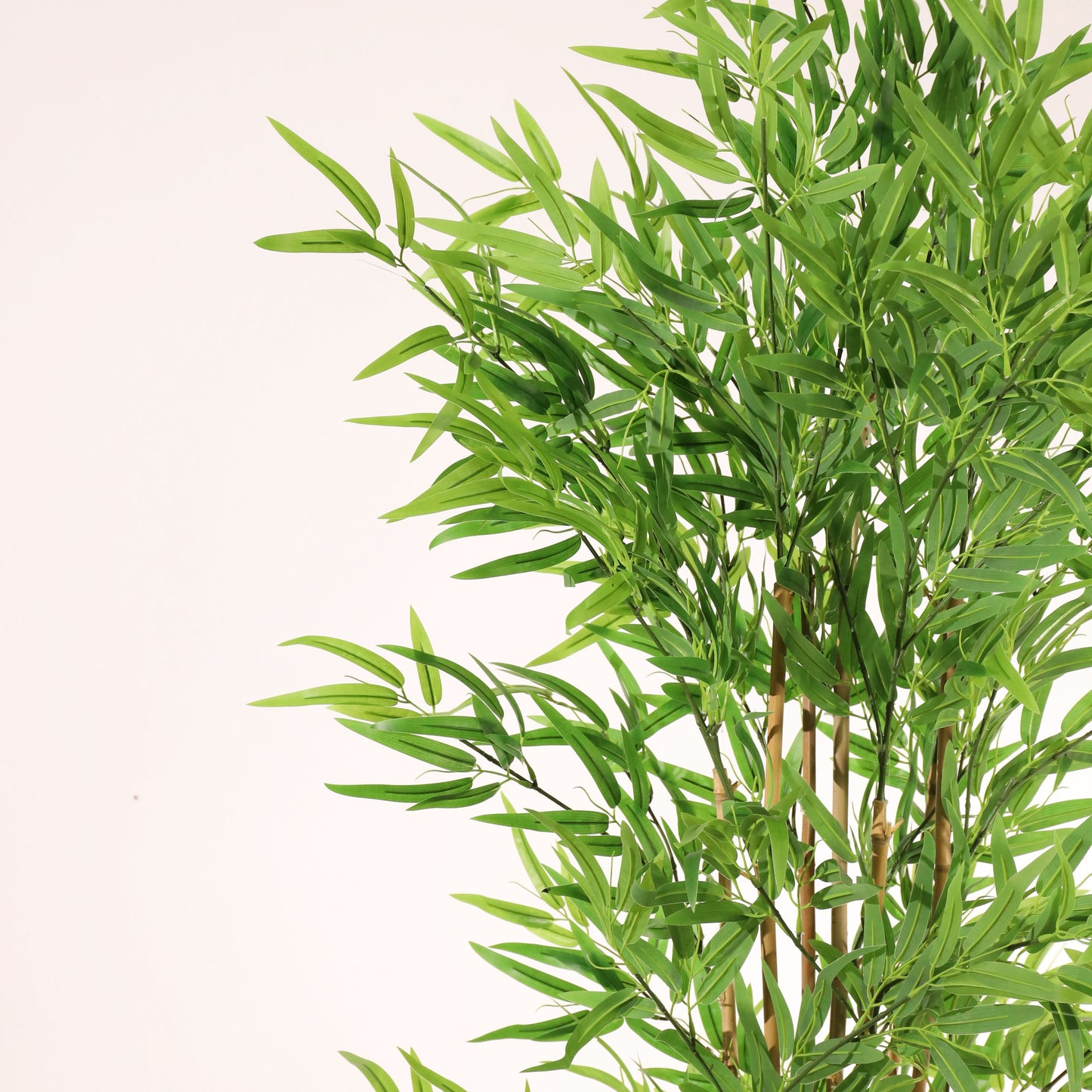 Bambou vert 180 cm