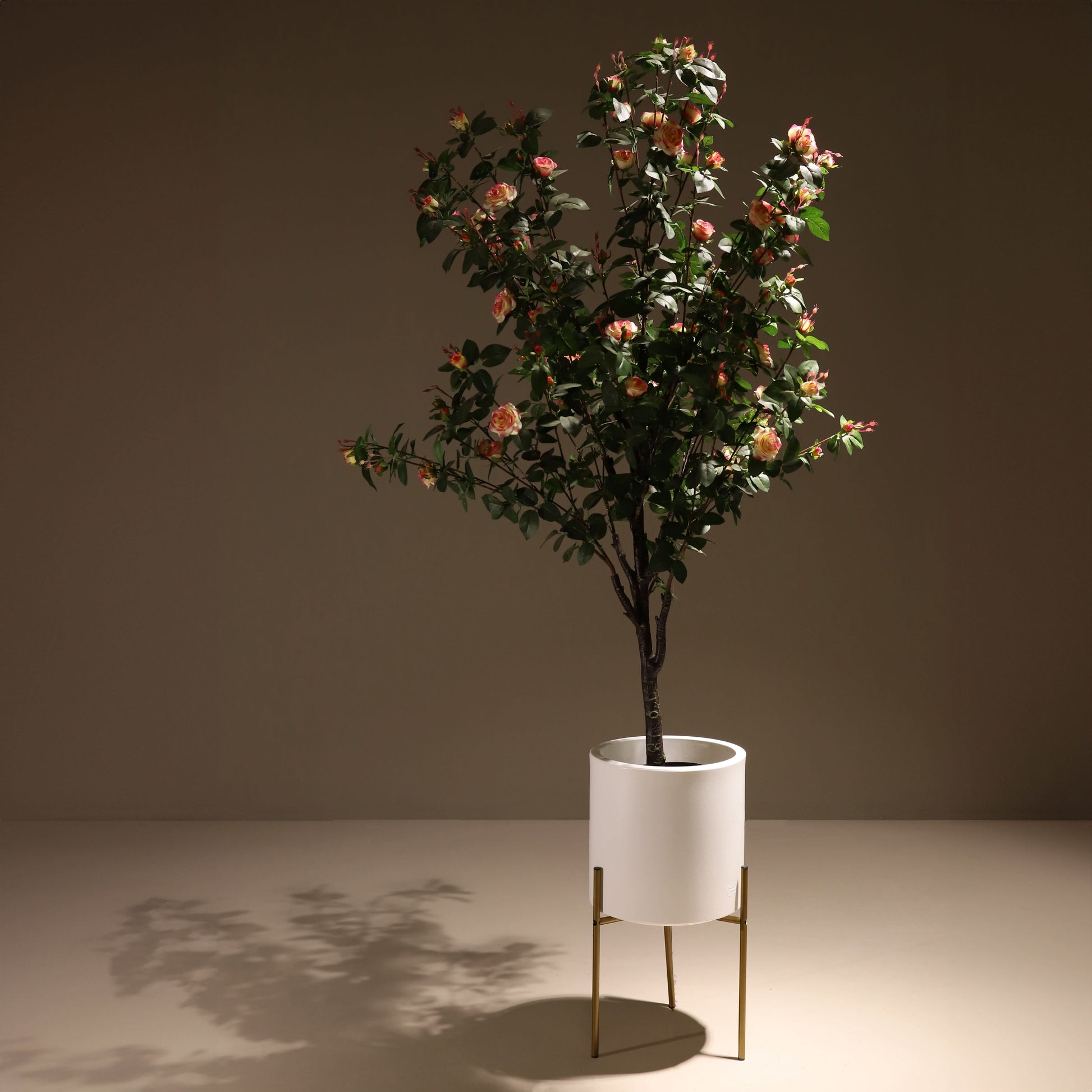 Rosal rosa claro 160 cm