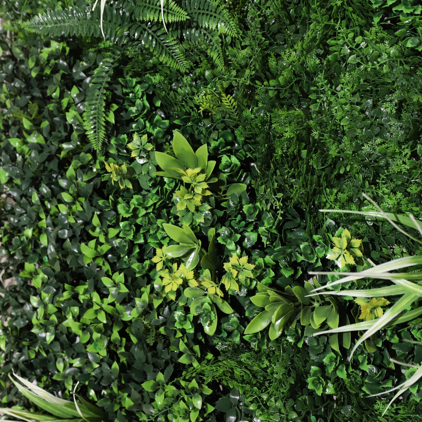 Subtropical
