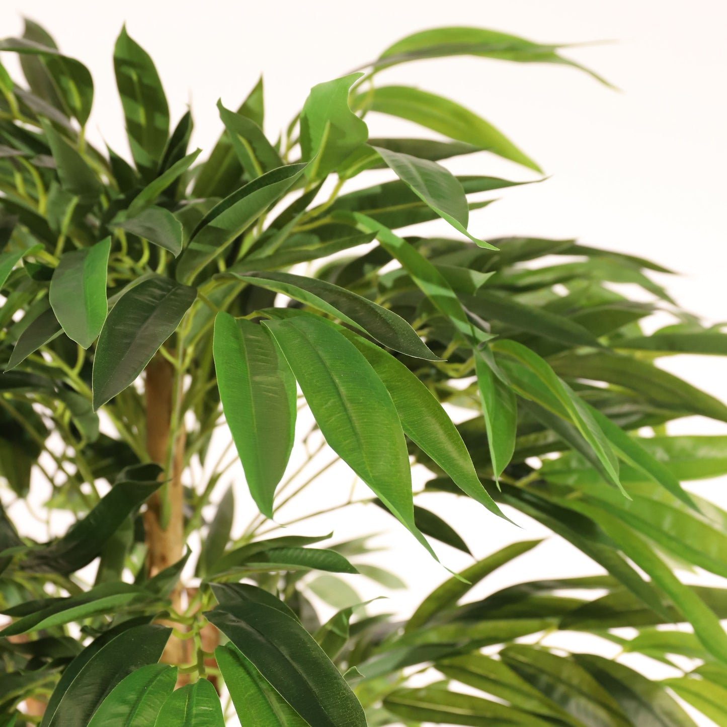 Árbol drácena 153 cm