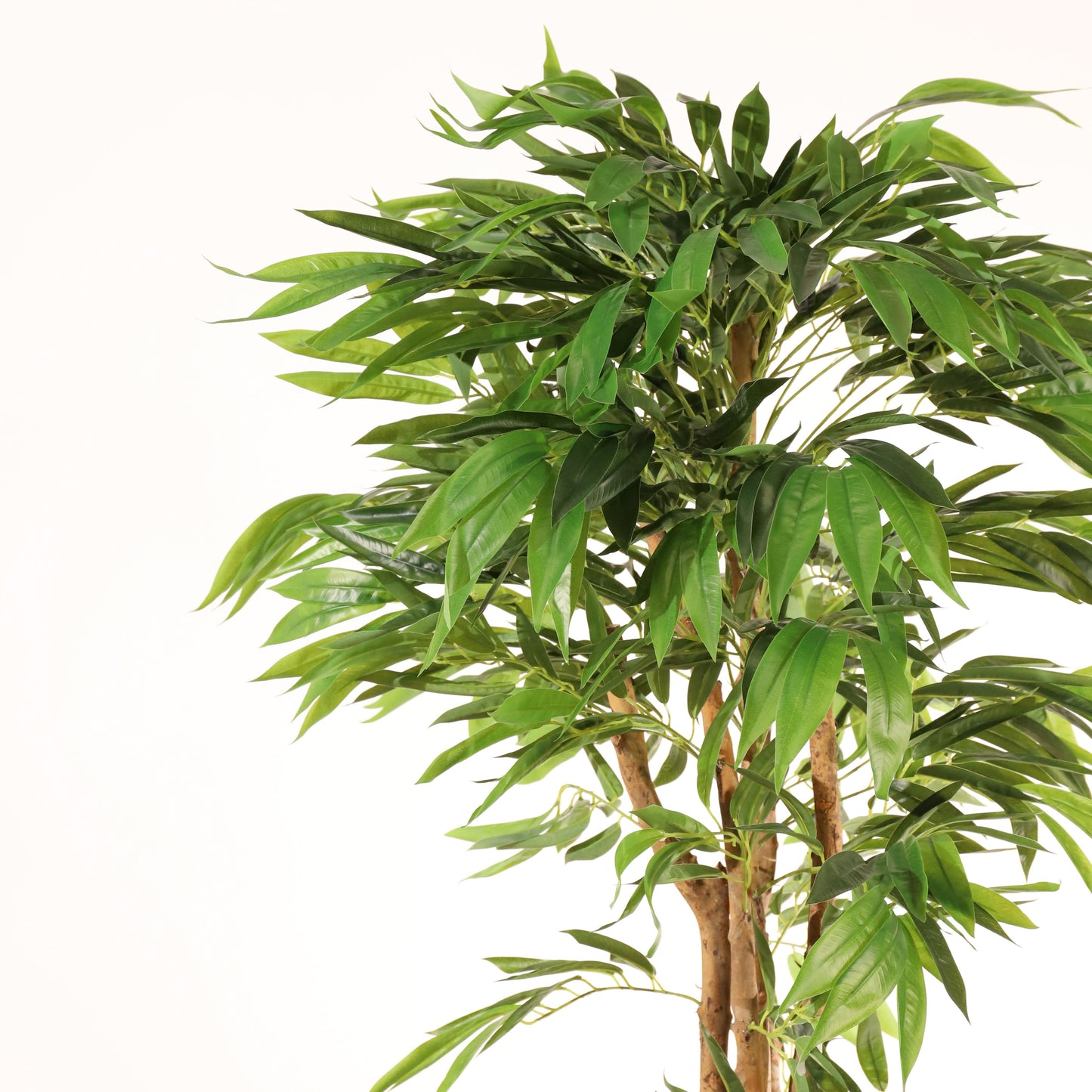 Árbol drácena 153 cm