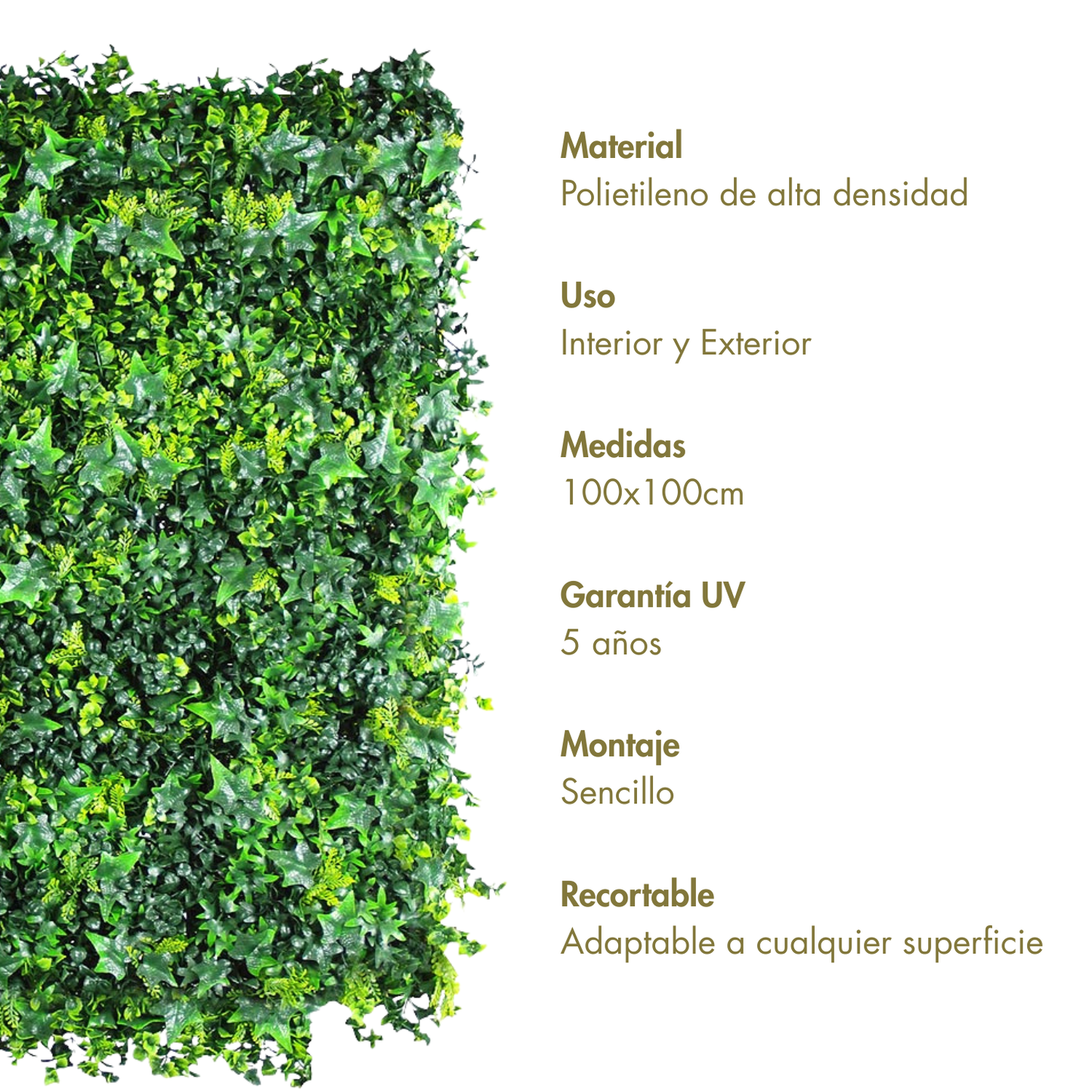 Mar verde
