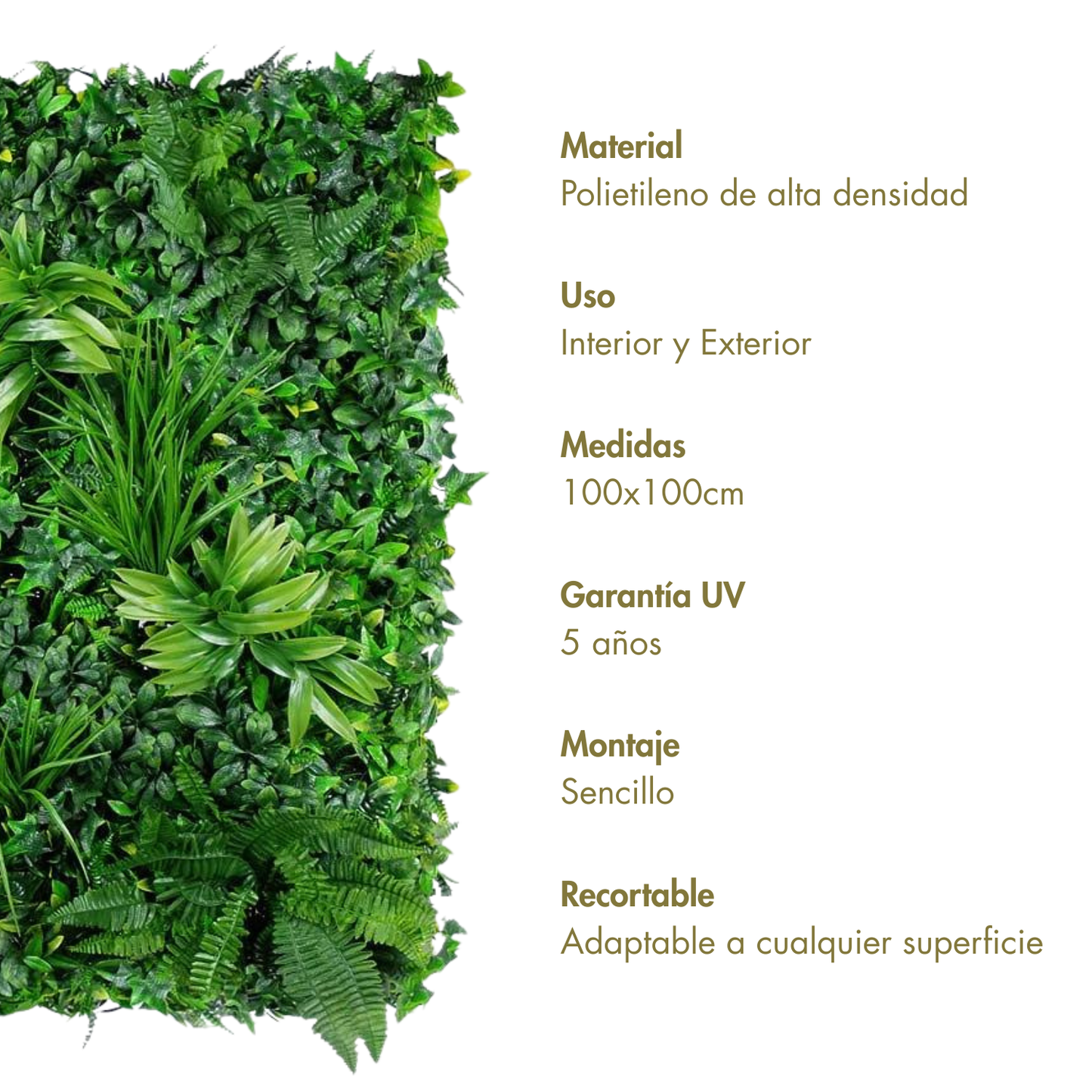 Jardín misterioso