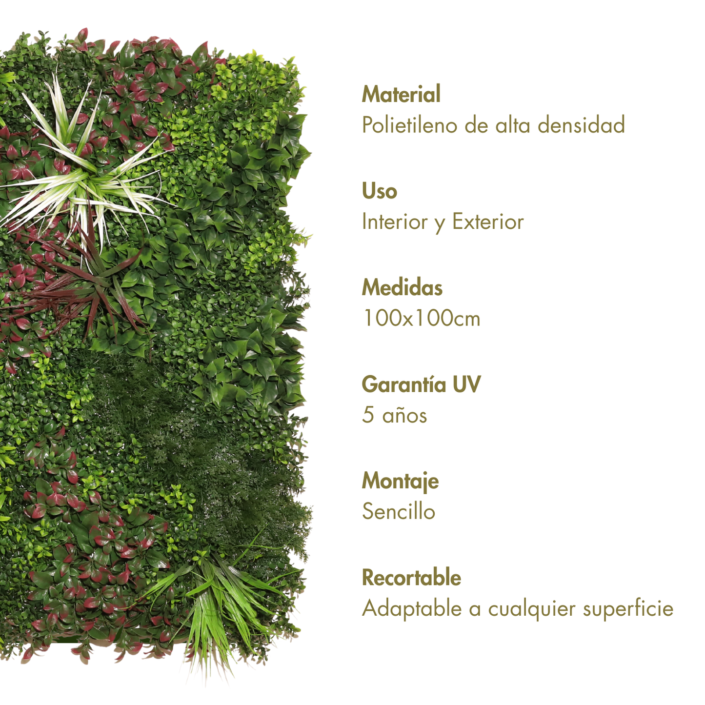 Nature A