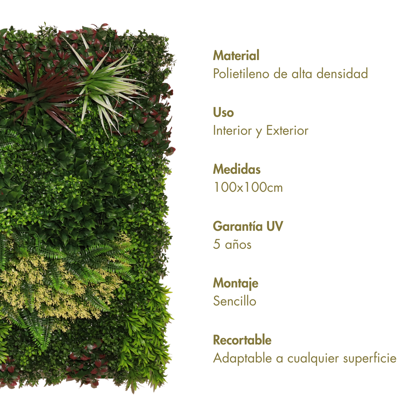 Nature B