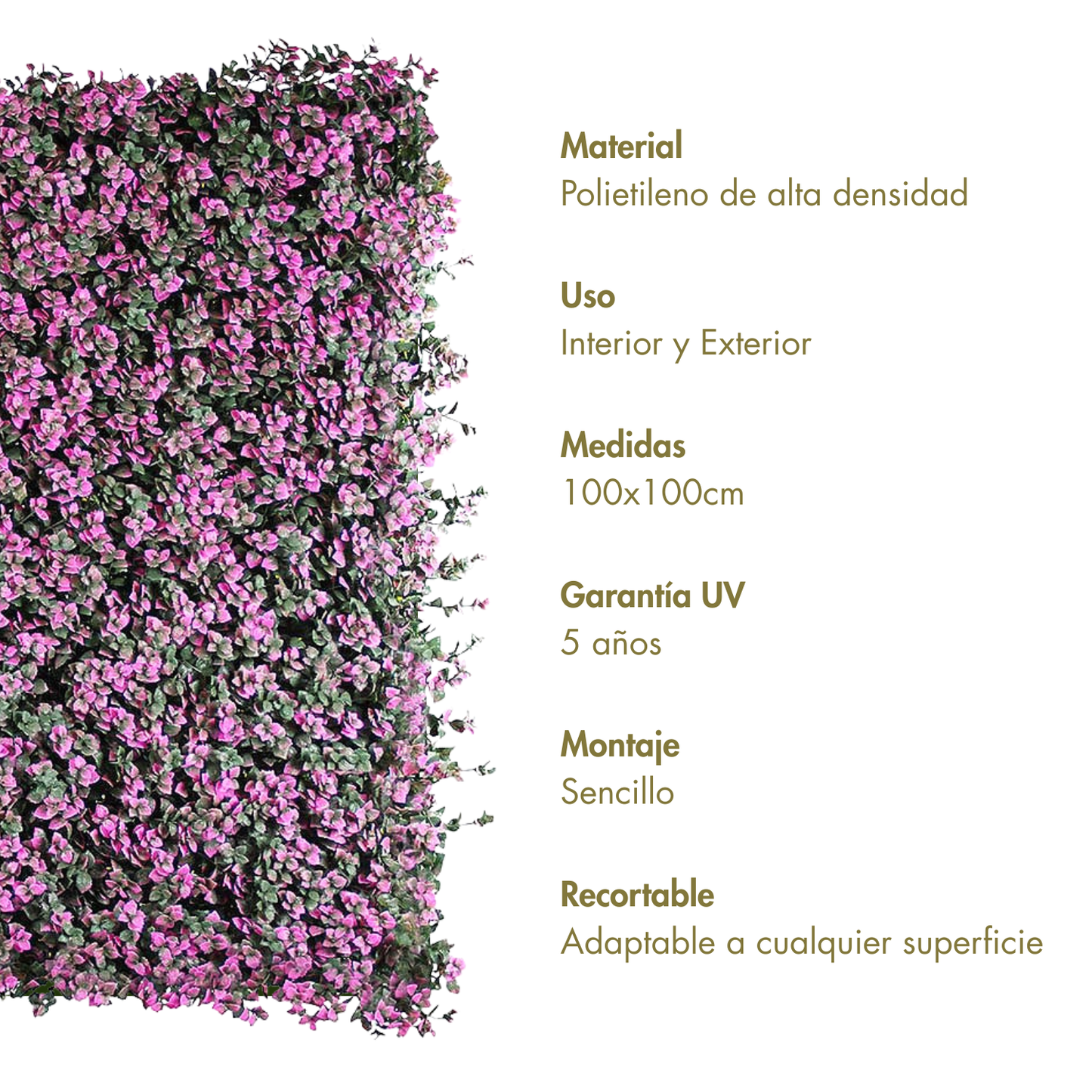 Rosado