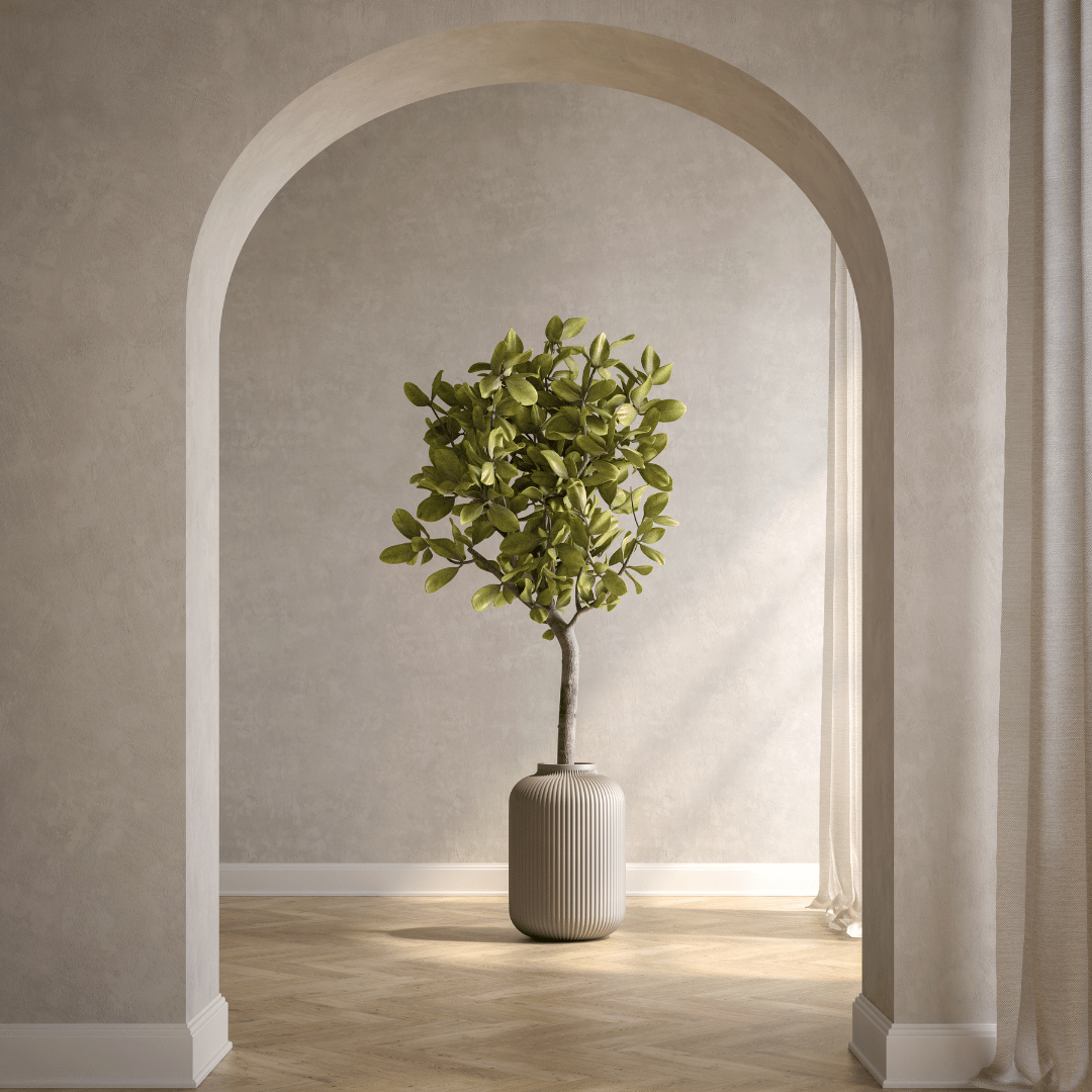 Naturing Monde Image