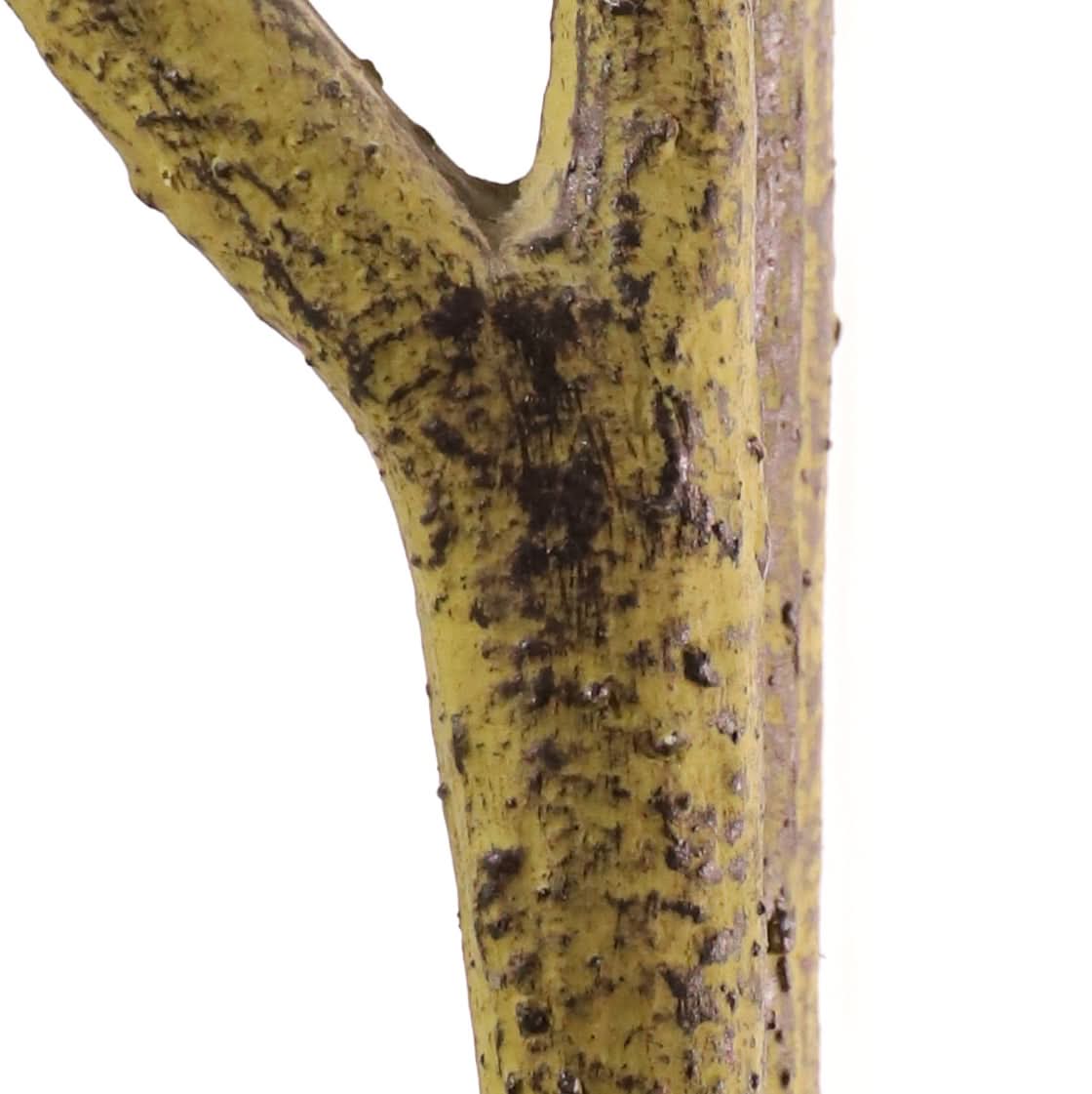 Drácena 150 cm