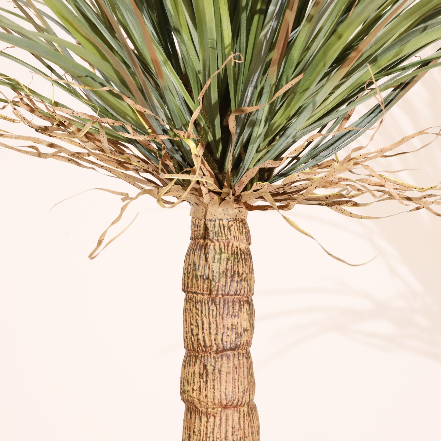 Drácena tropical 150 cm