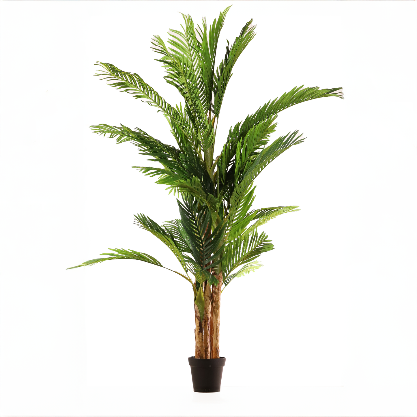 Palmera 189 cm