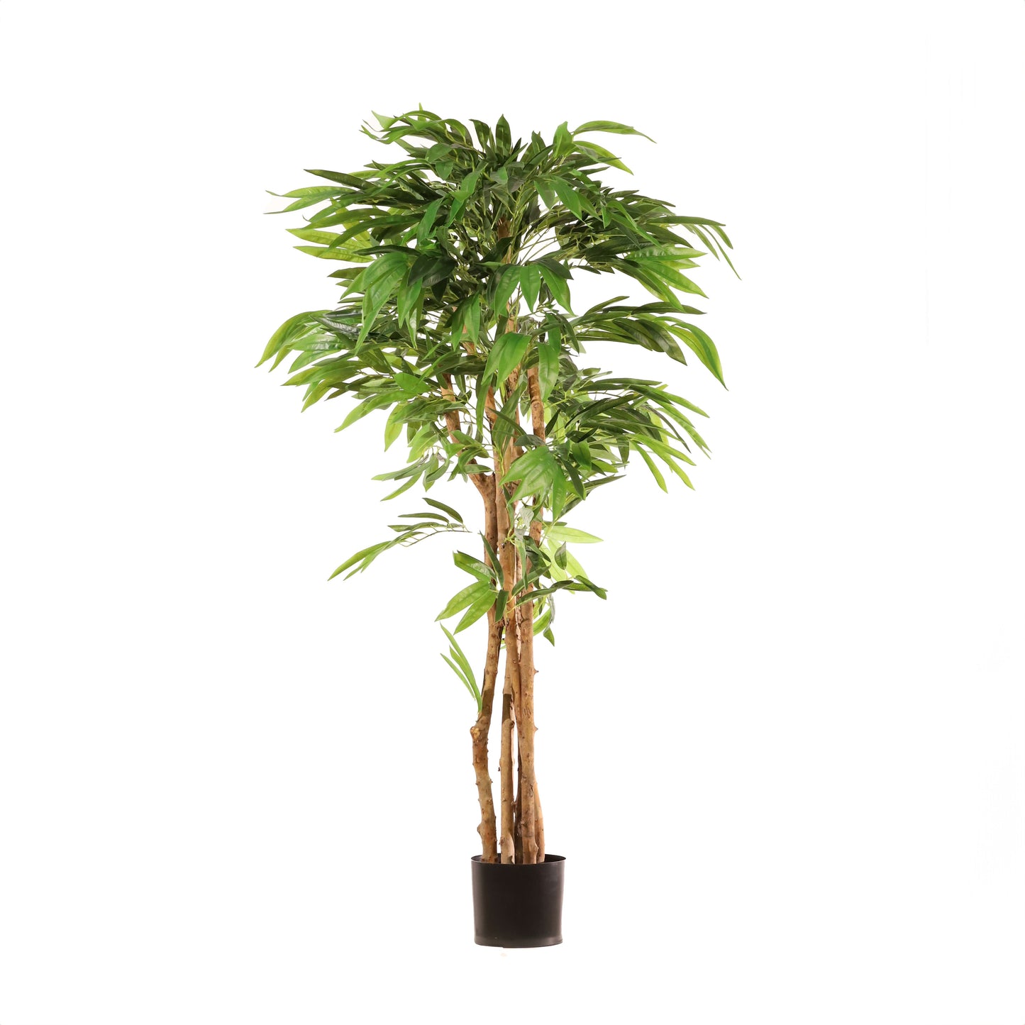 Árbol drácena 153 cm