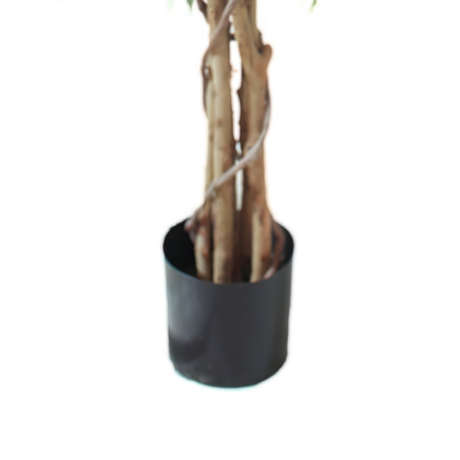 Ficus matizado 180cm