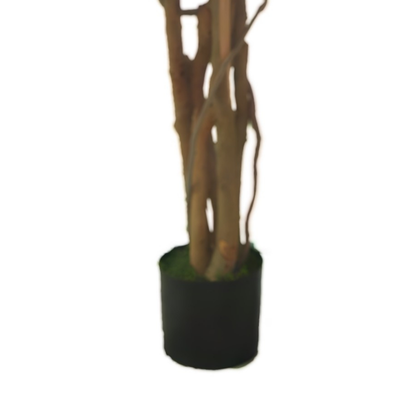 Ficus verde 180 cm