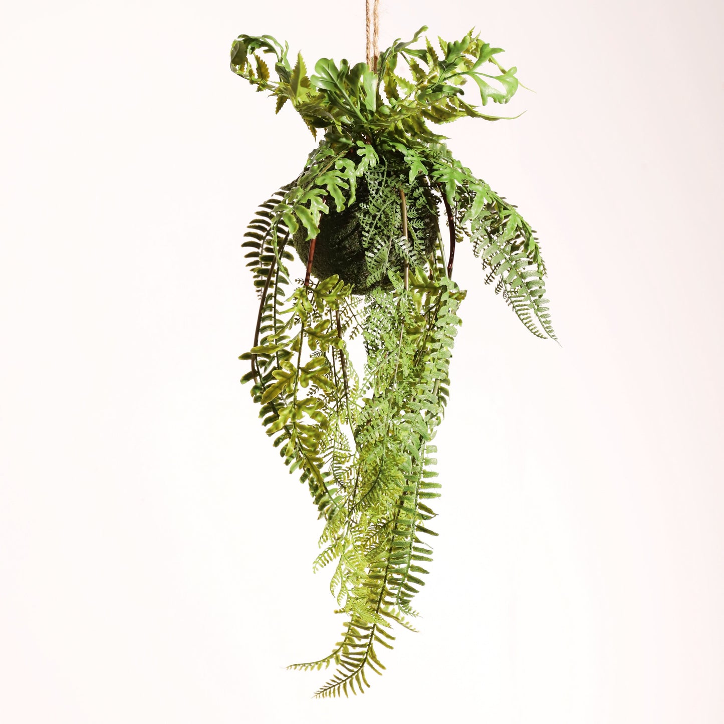 Helecho colgante 65 cm