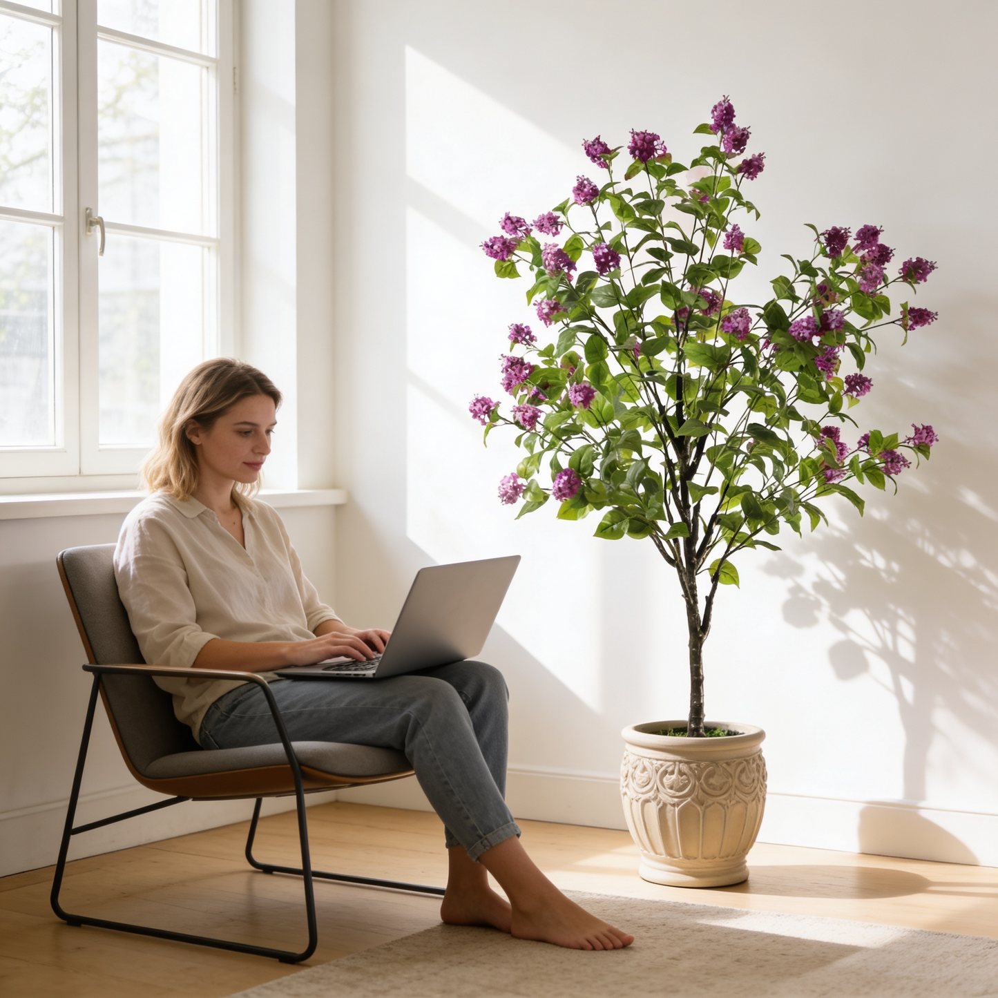 Hortensia paniculata morada 160 cm