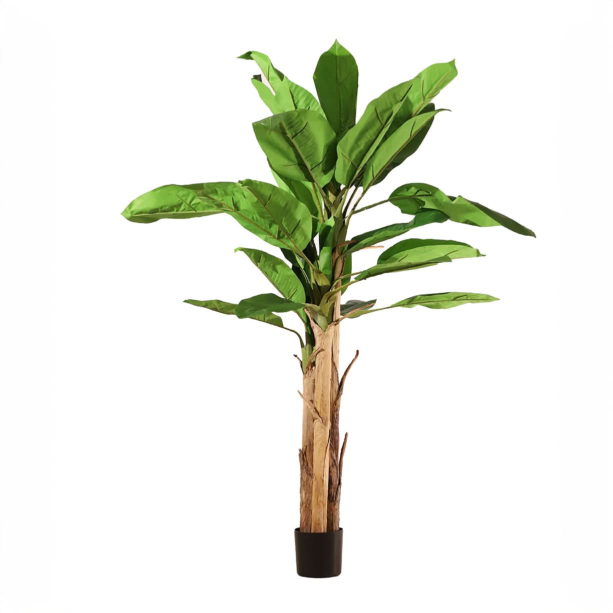 Bananera ignífuga 220 cm